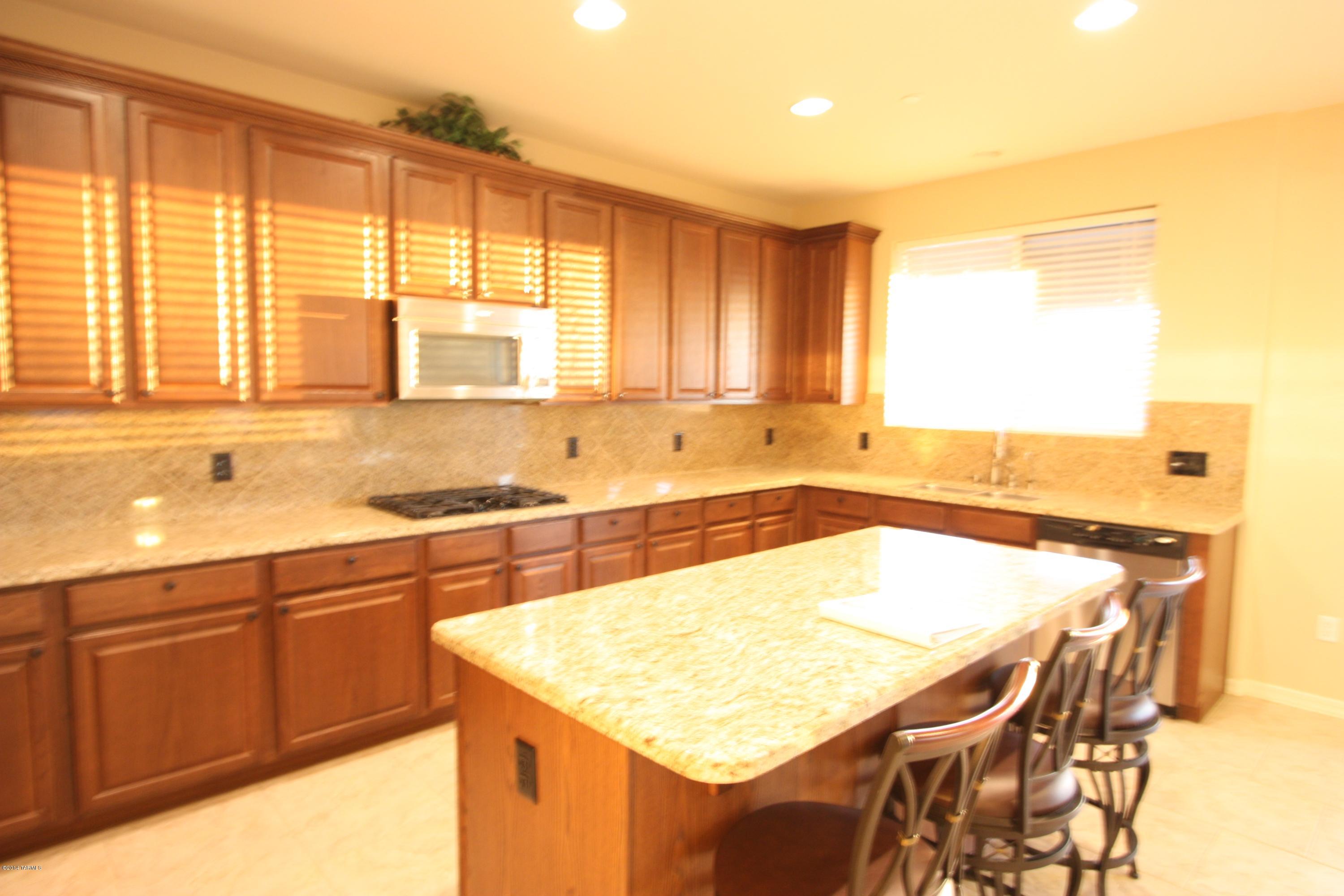 17228 S Painted Vistas Way