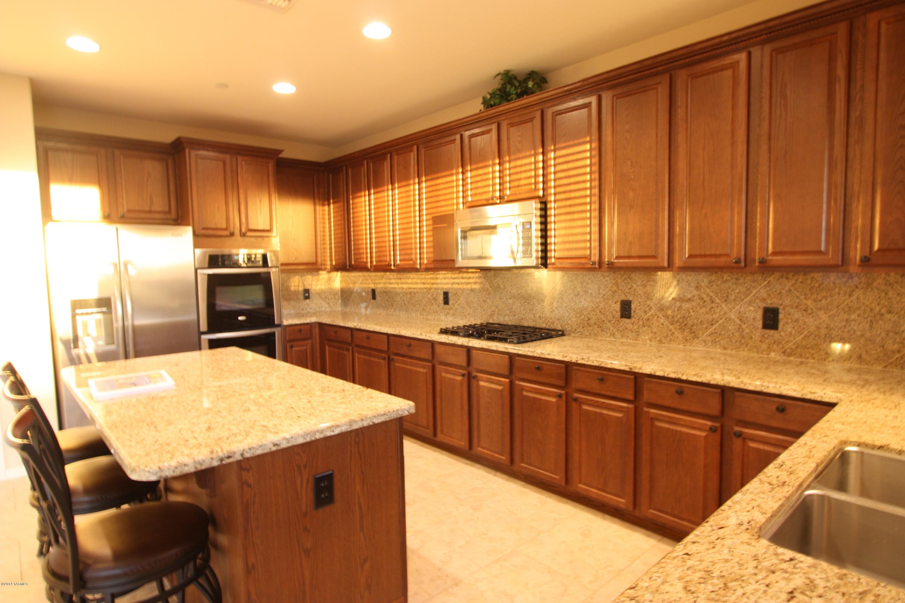17228 S Painted Vistas Way