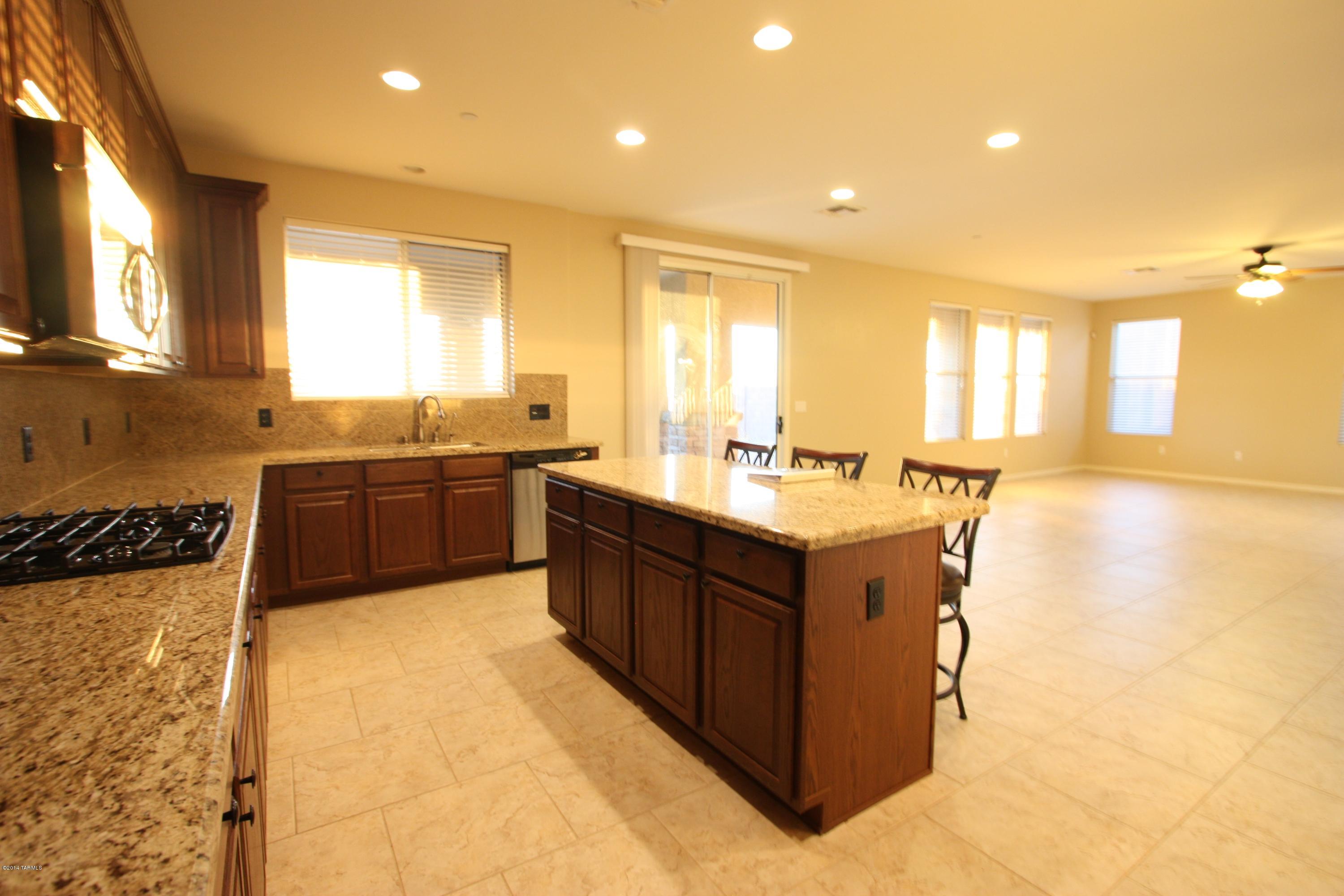 17228 S Painted Vistas Way