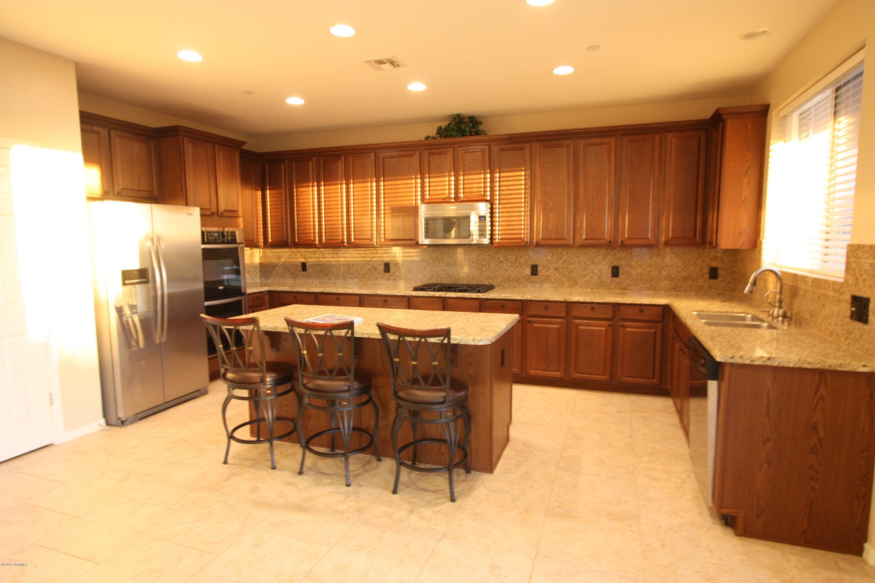 17228 S Painted Vistas Way