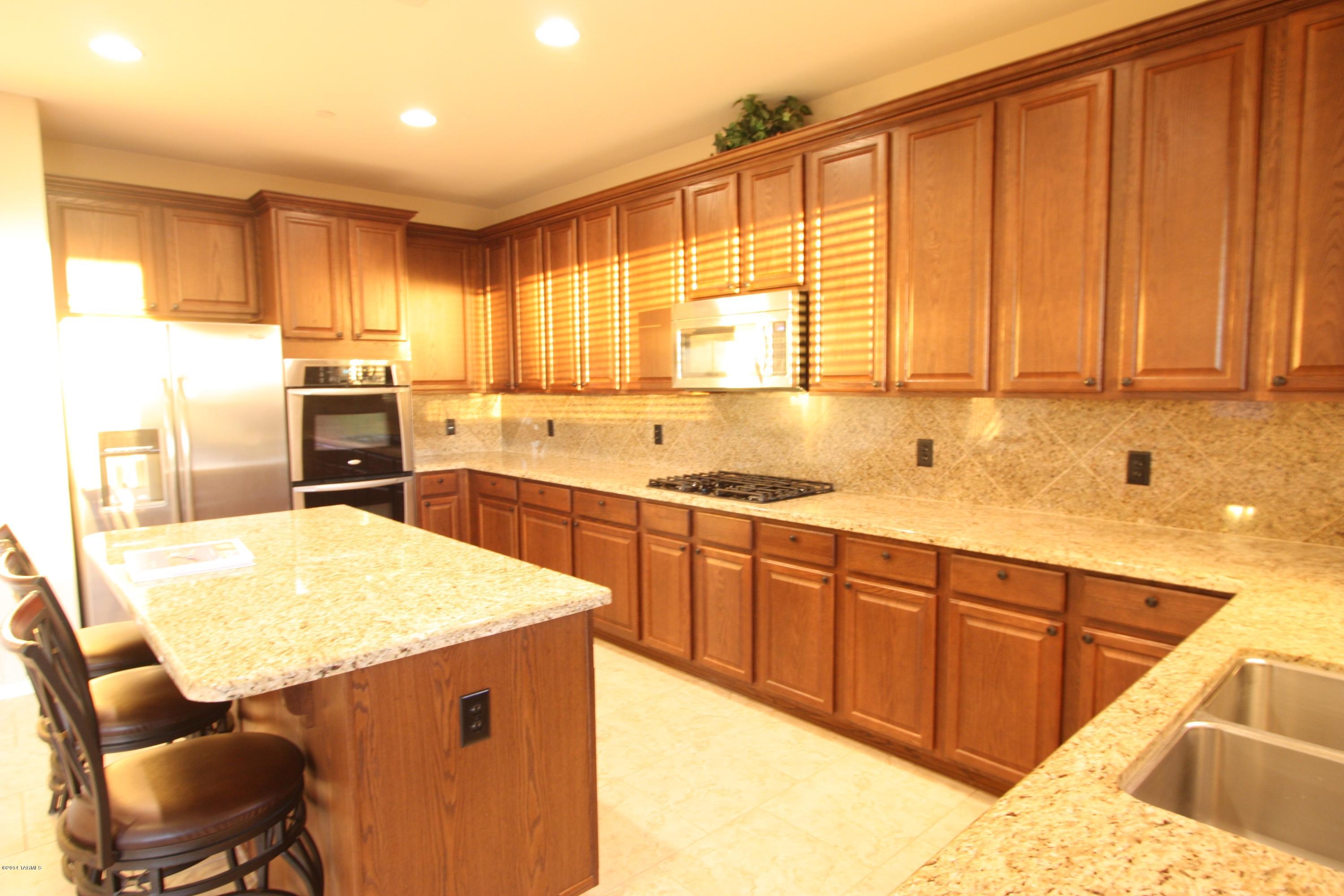17228 S Painted Vistas Way