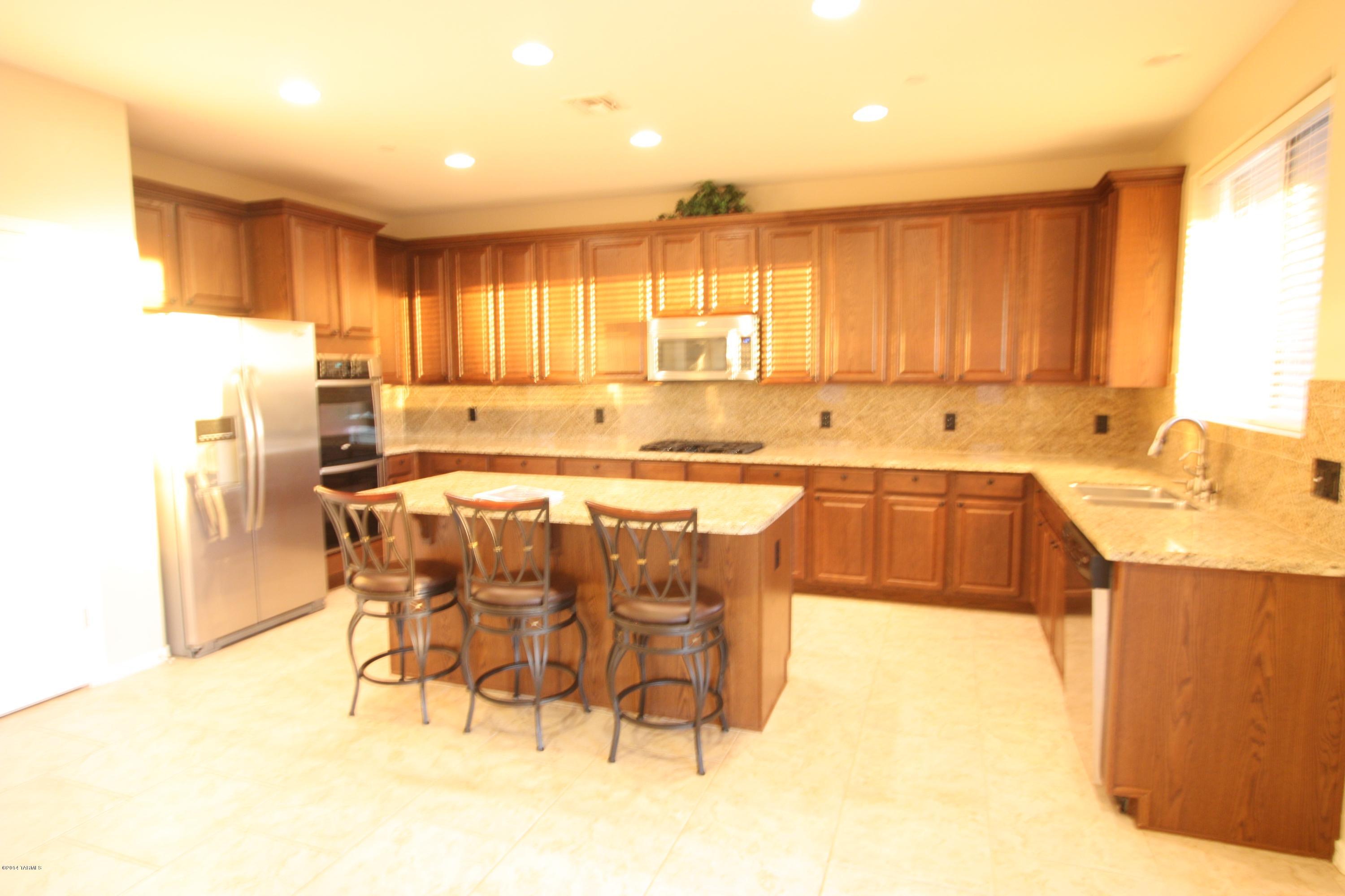 17228 S Painted Vistas Way
