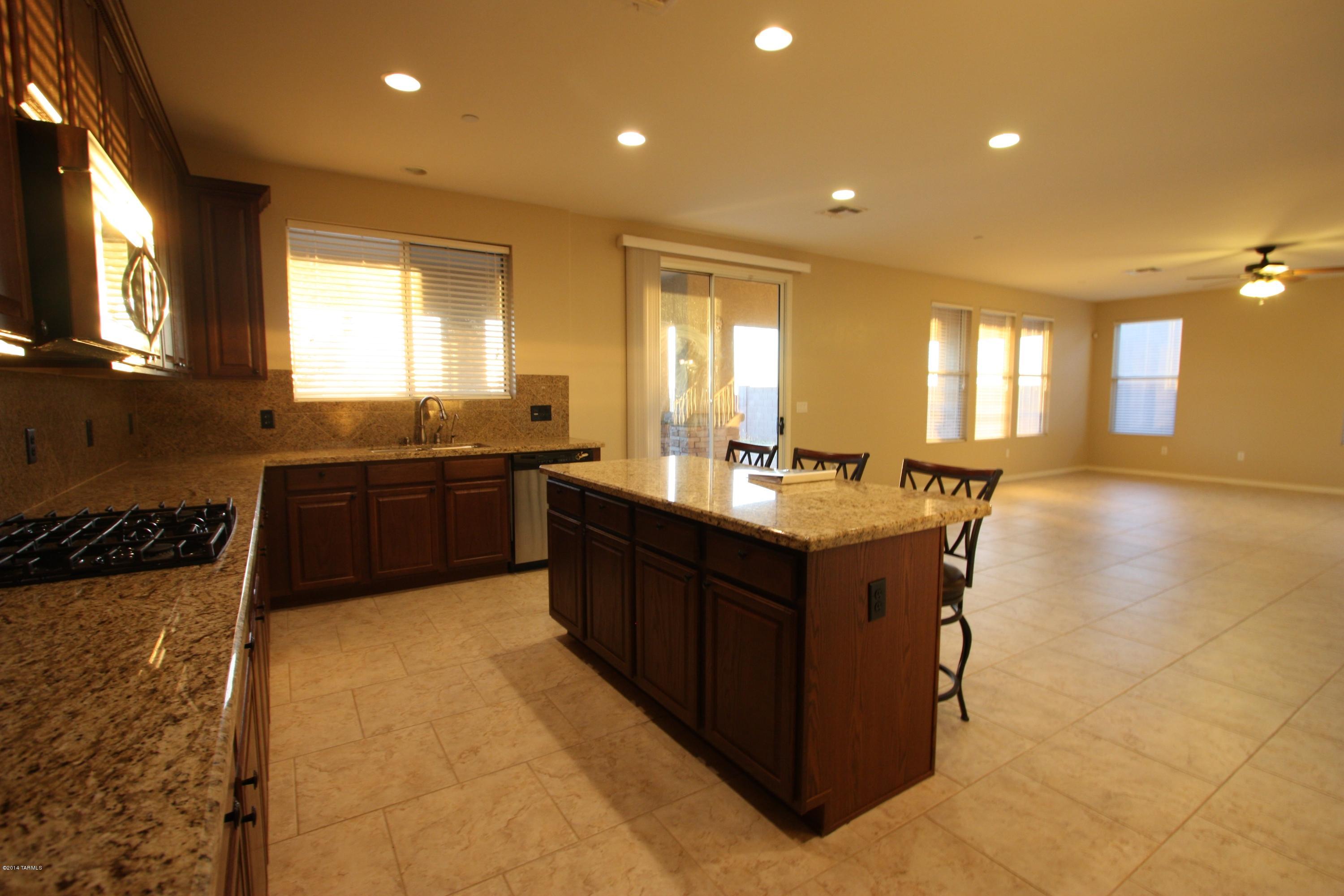 17228 S Painted Vistas Way