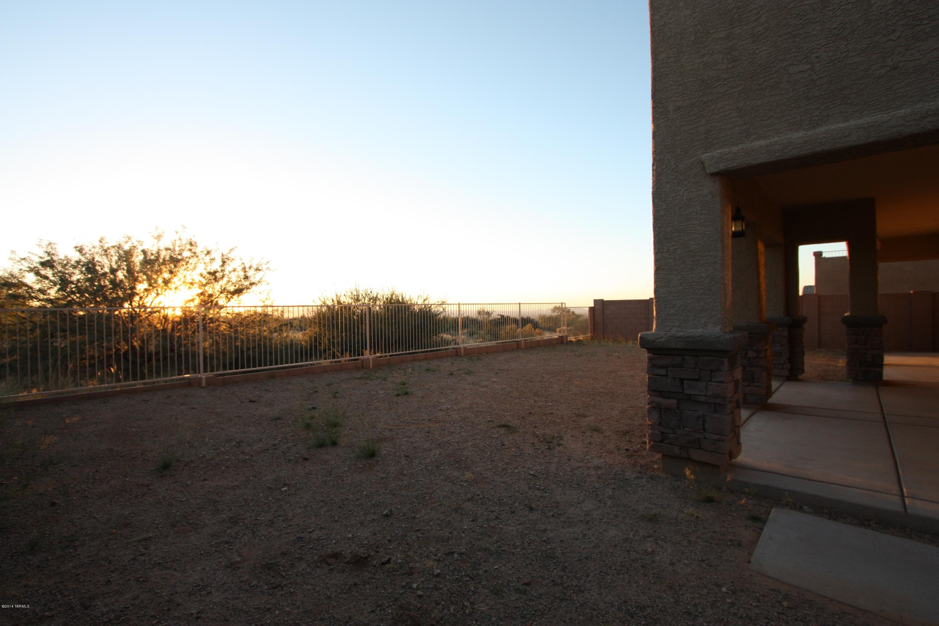 17228 S Painted Vistas Way