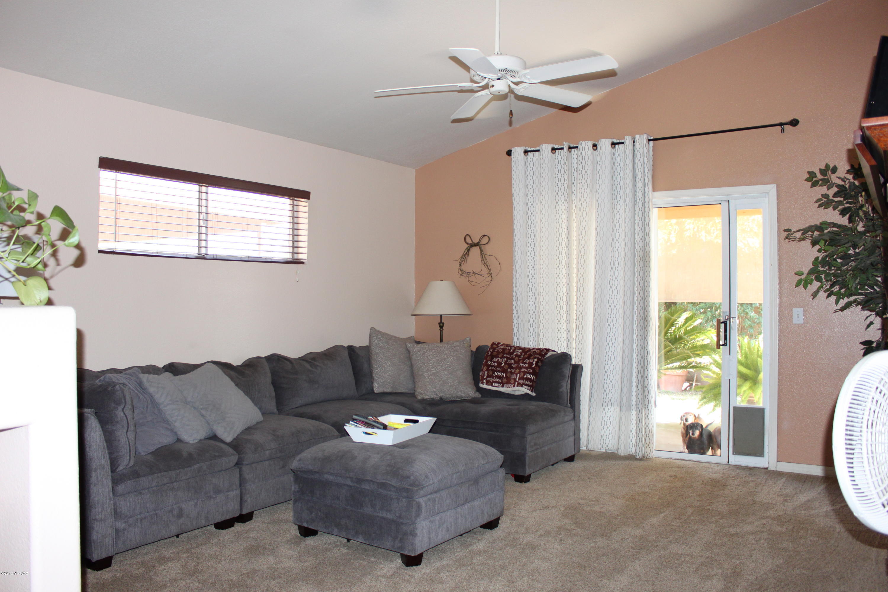 3641 W Camino De Caliope