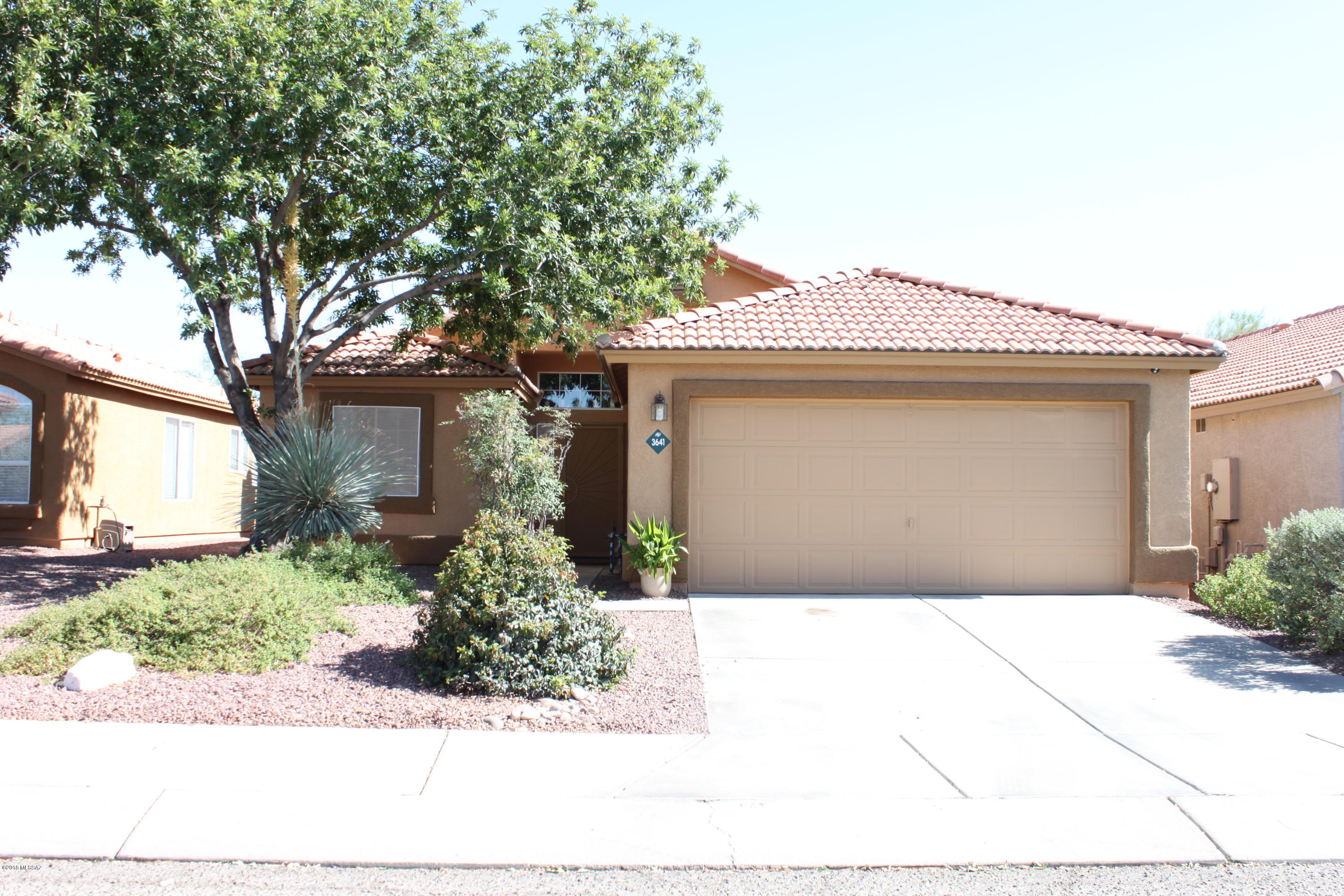 3641 W Camino De Caliope