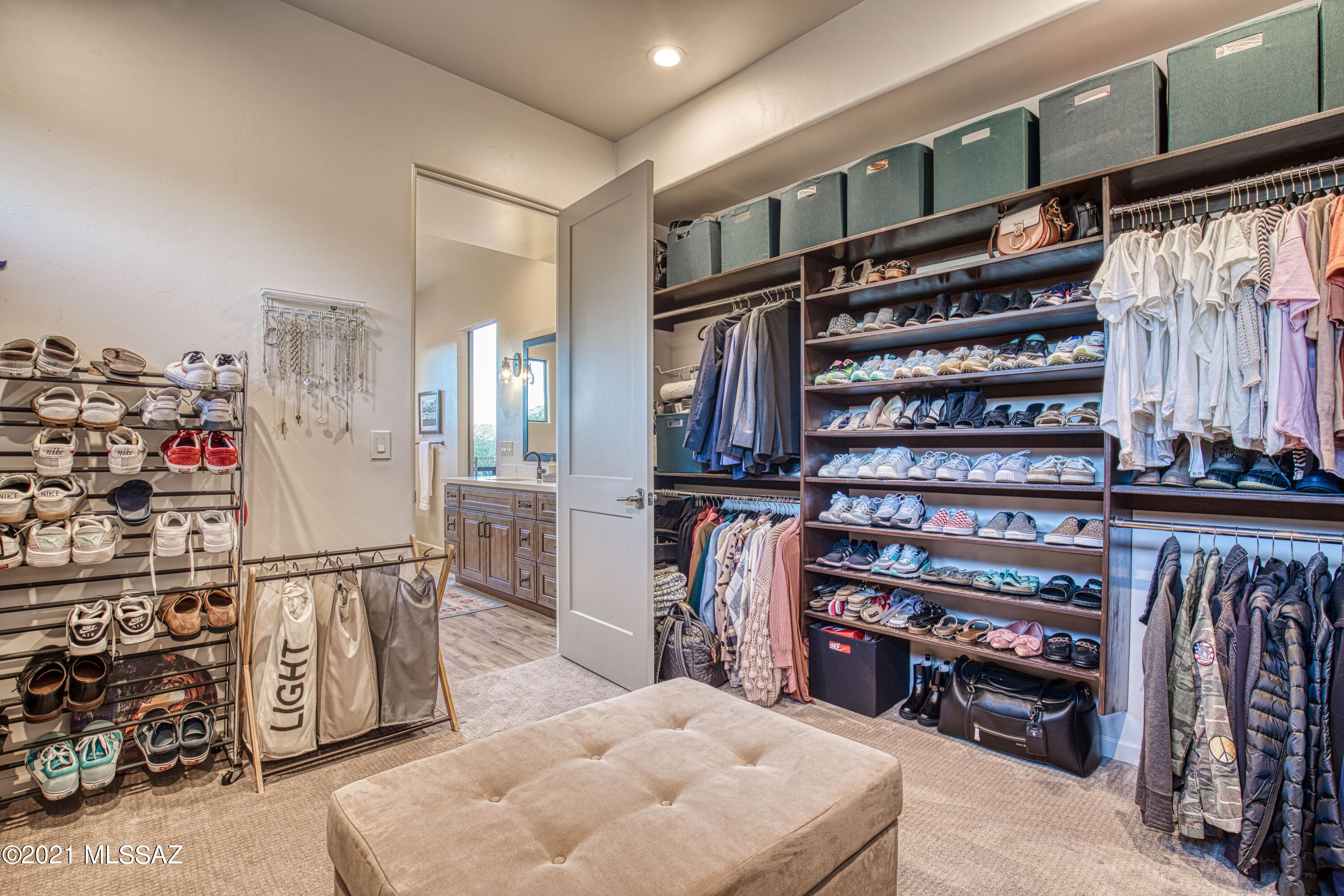 2756 N Megafauna Court