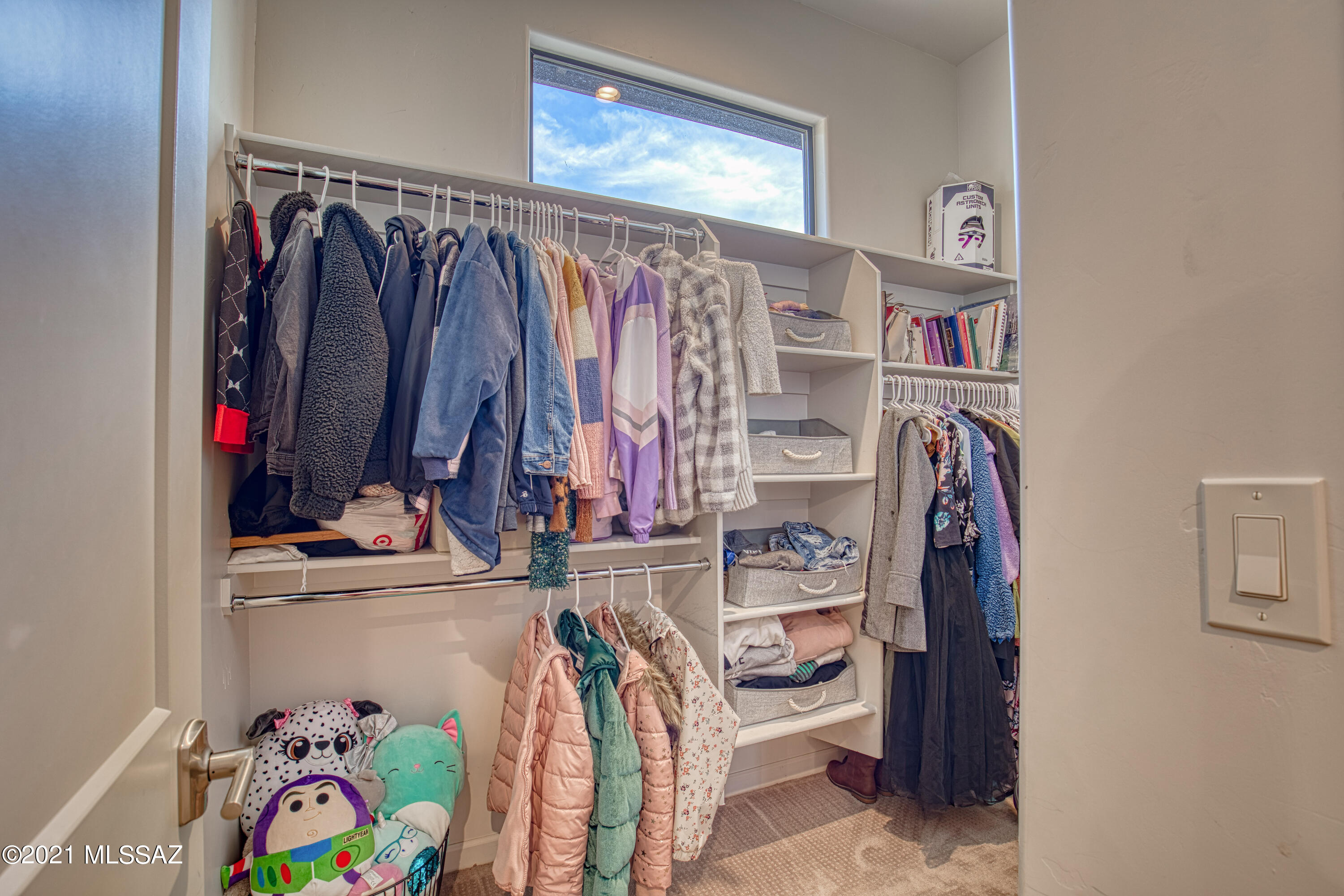 2756 N Megafauna Court