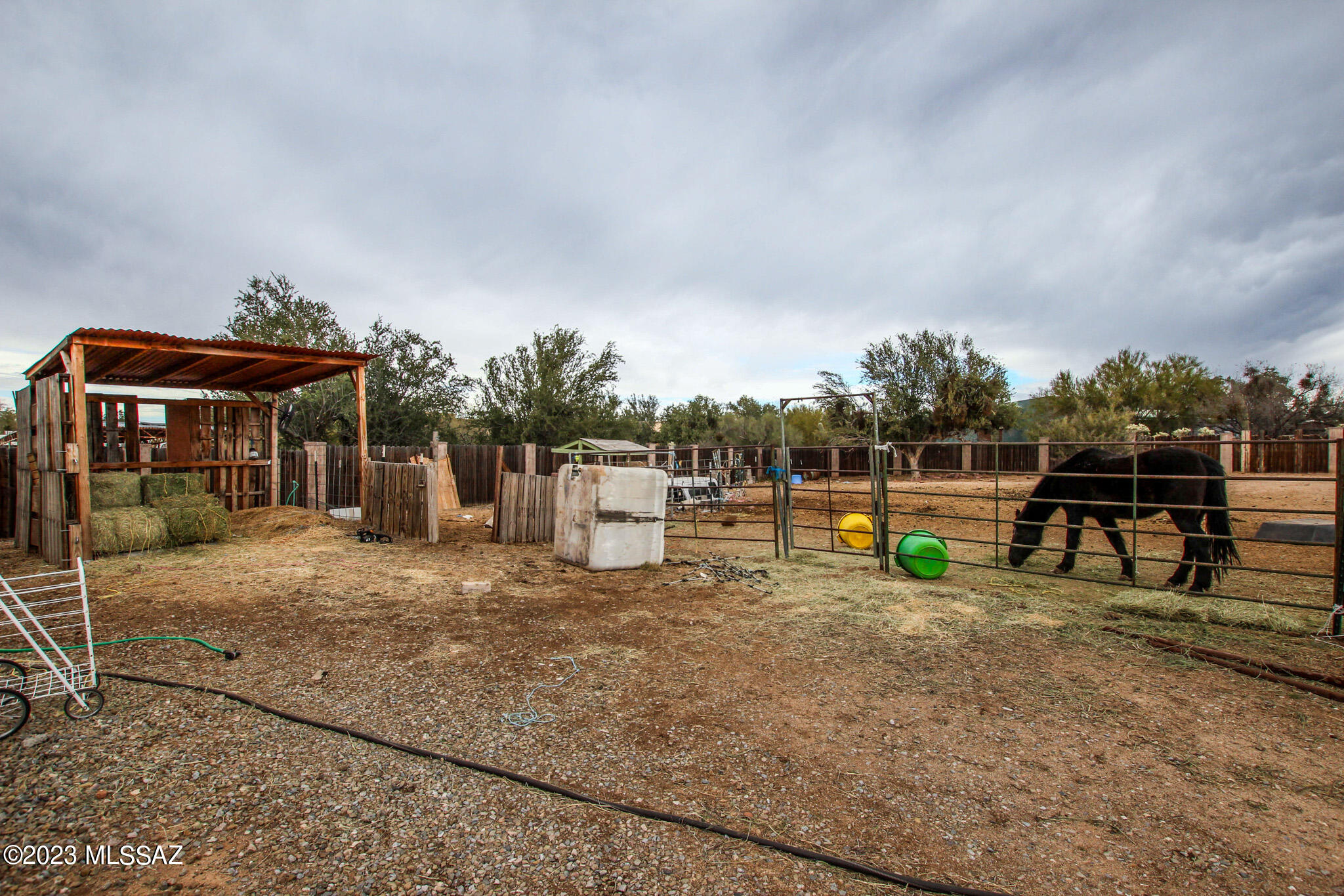 3450 W Turkey Lane