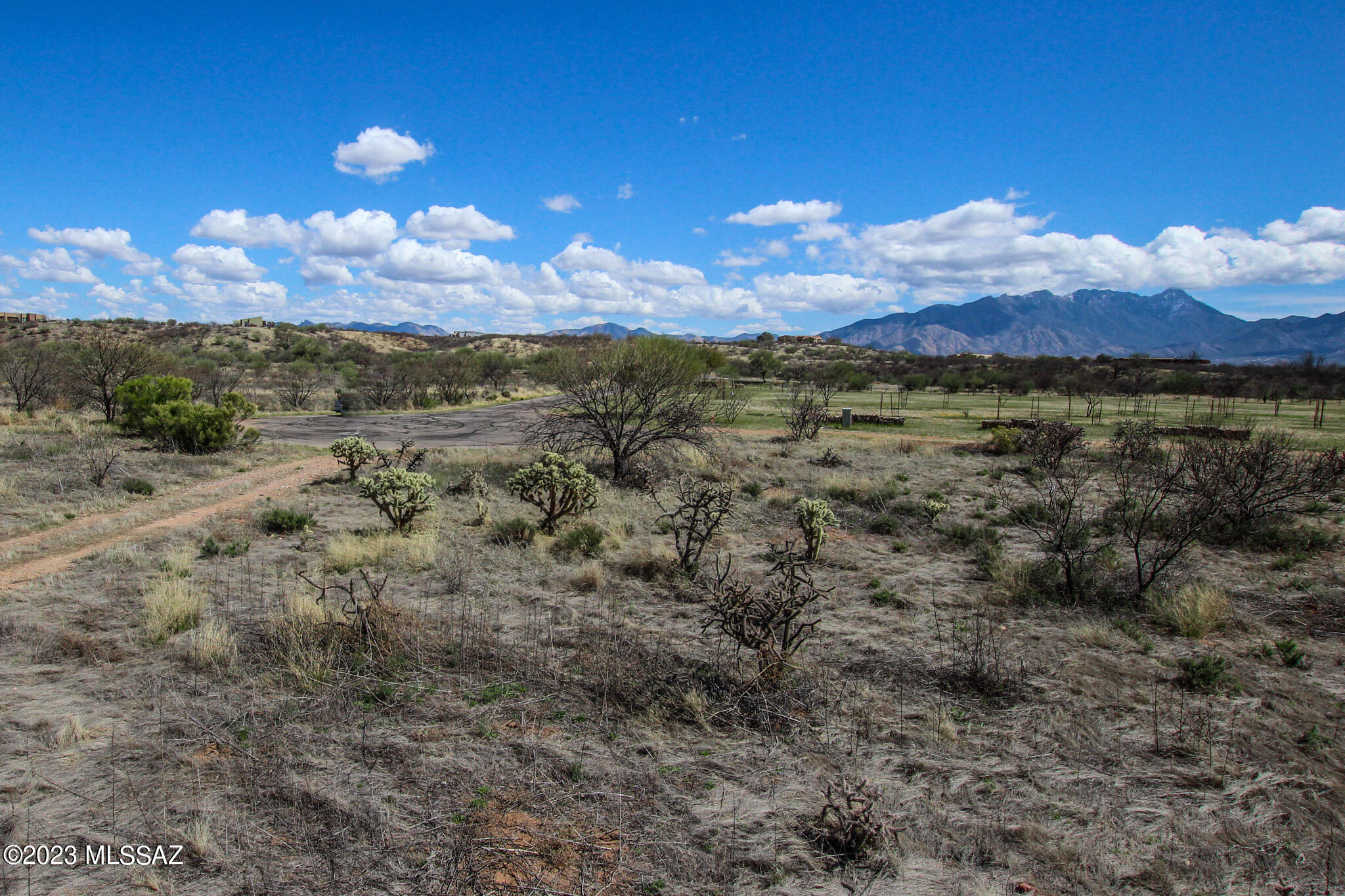 124 E Placita Colonia Real Unit: 46