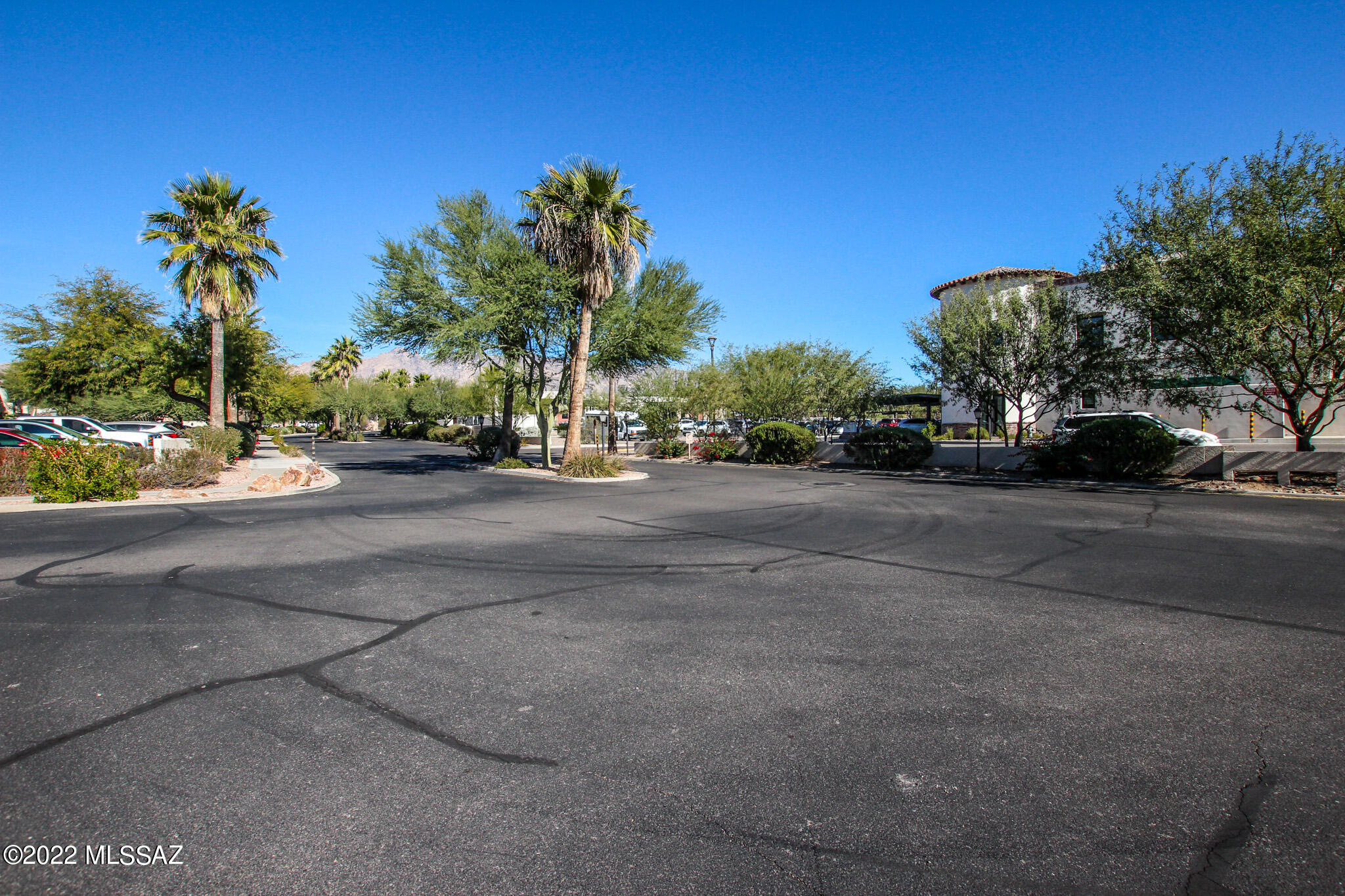 2550 E River Road Unit: 4202