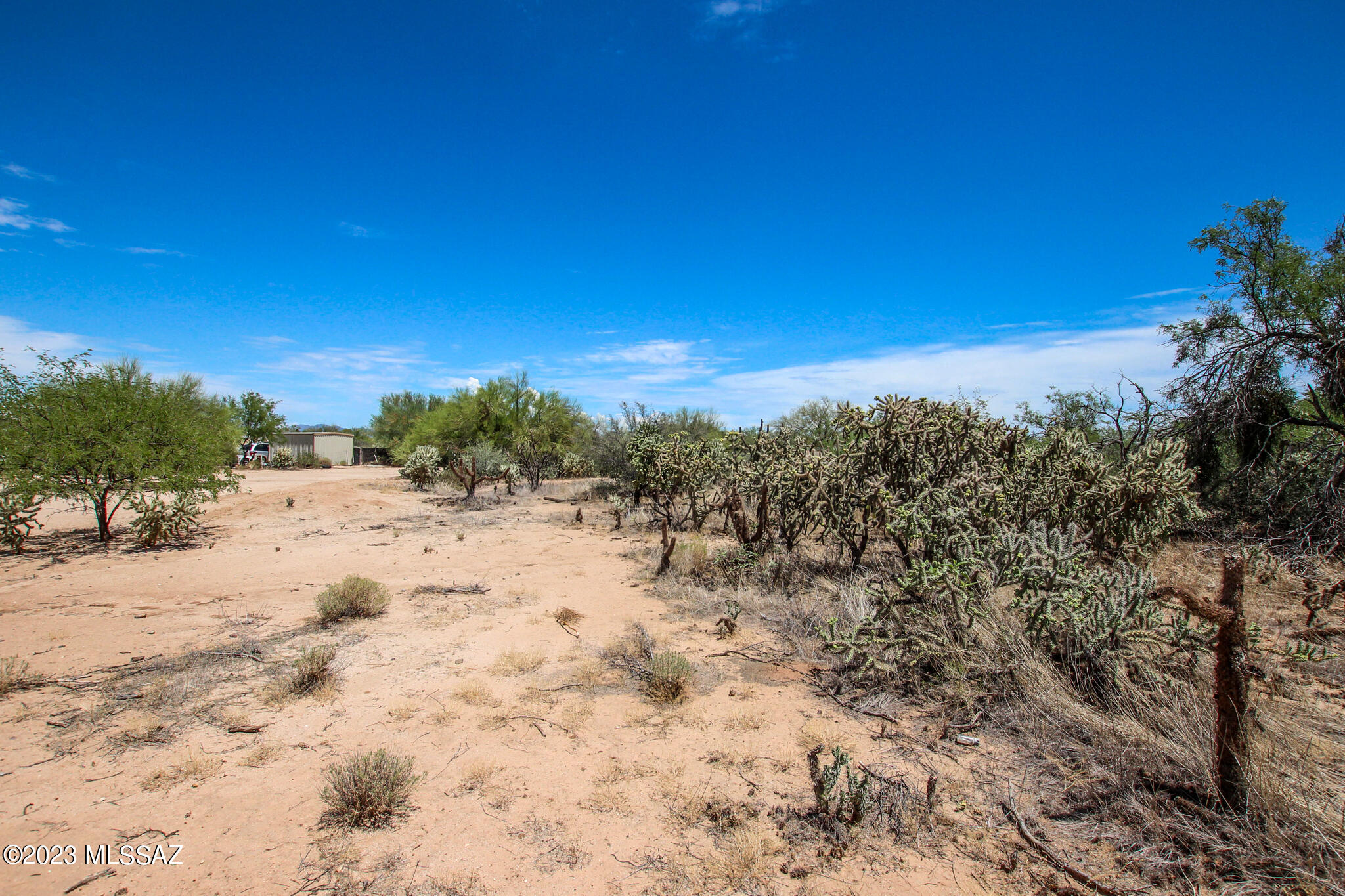 11155 S Annemarie Drive