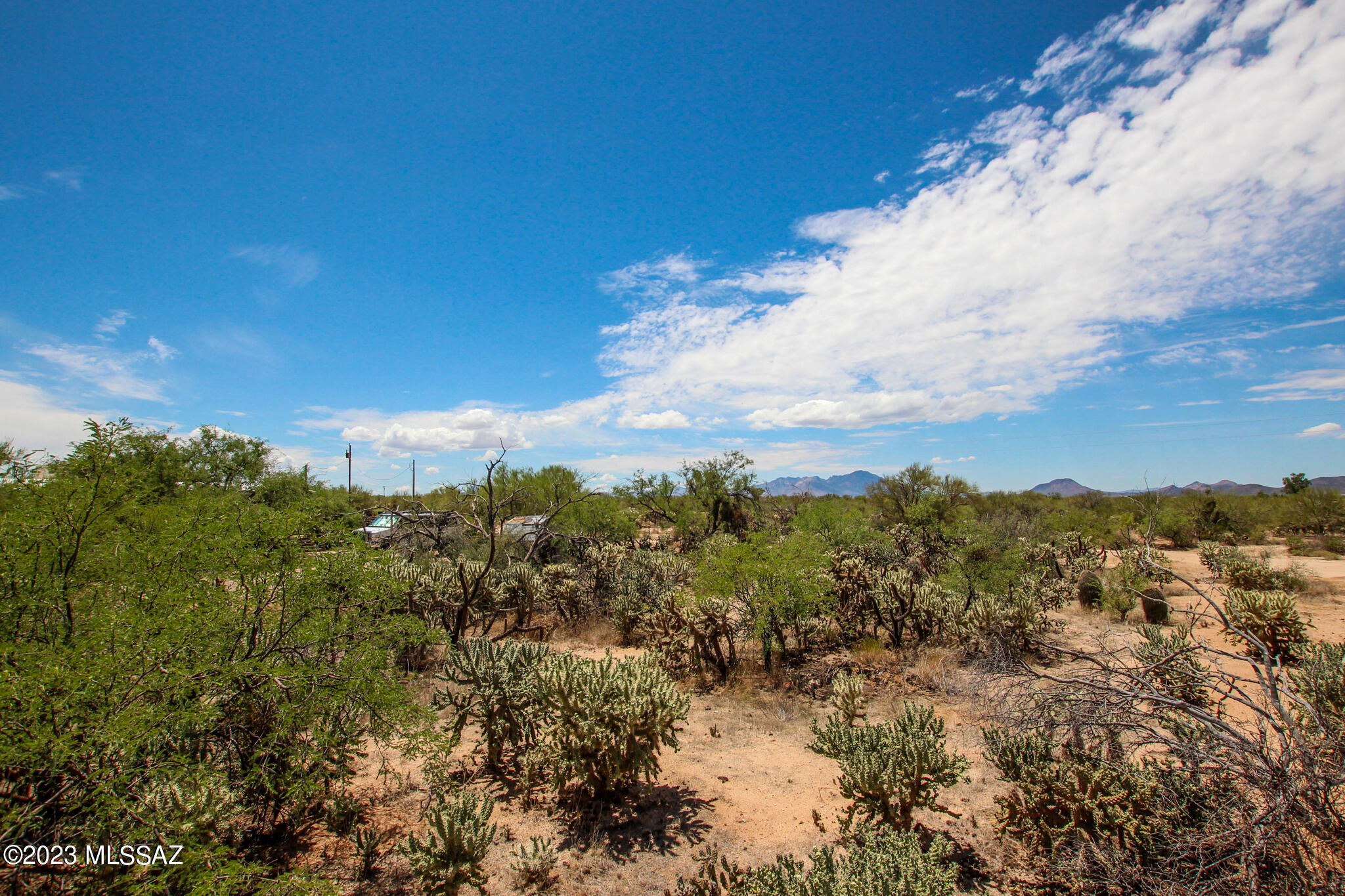 11155 S Annemarie Drive