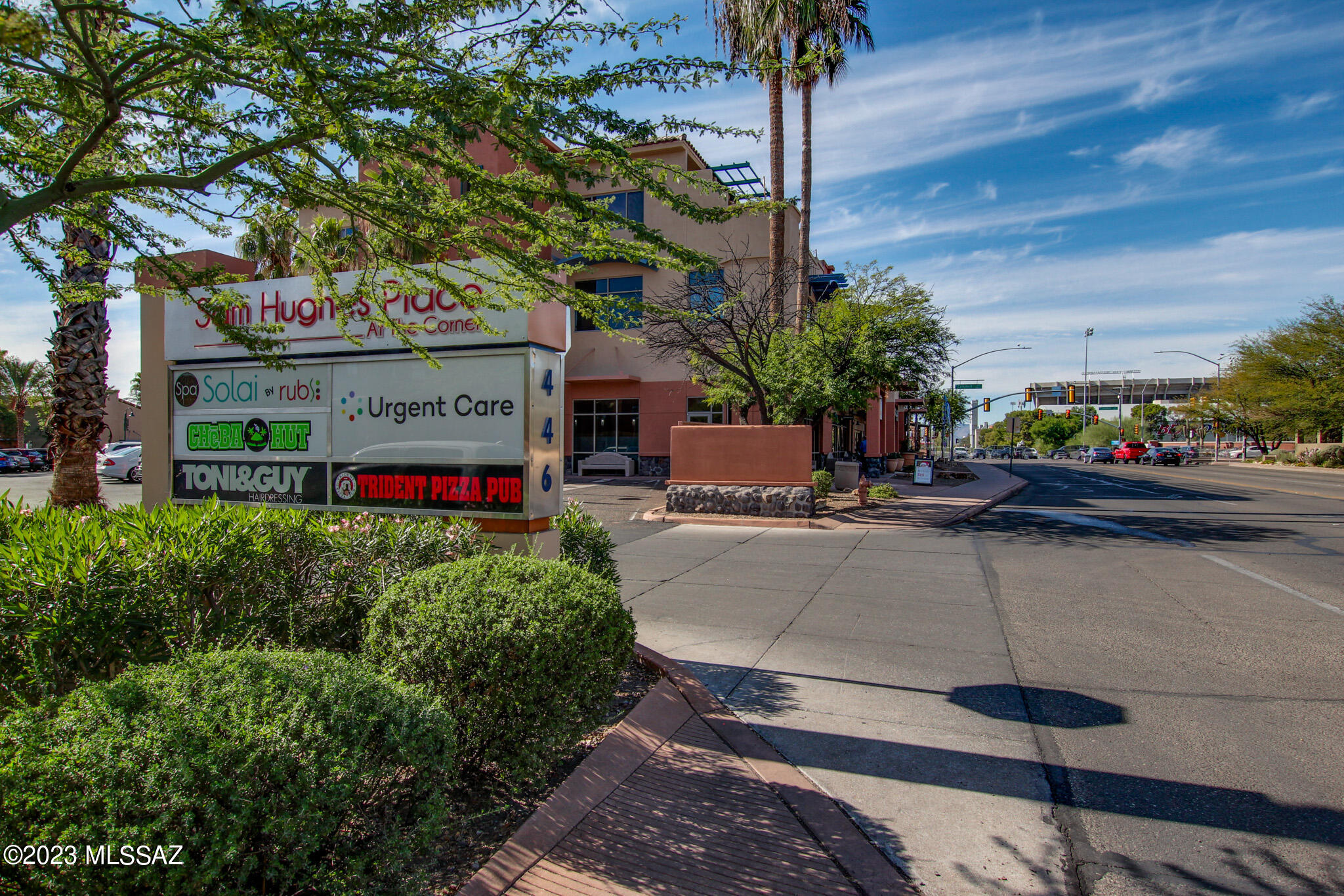 446 N Campbell Avenue Unit: 5102