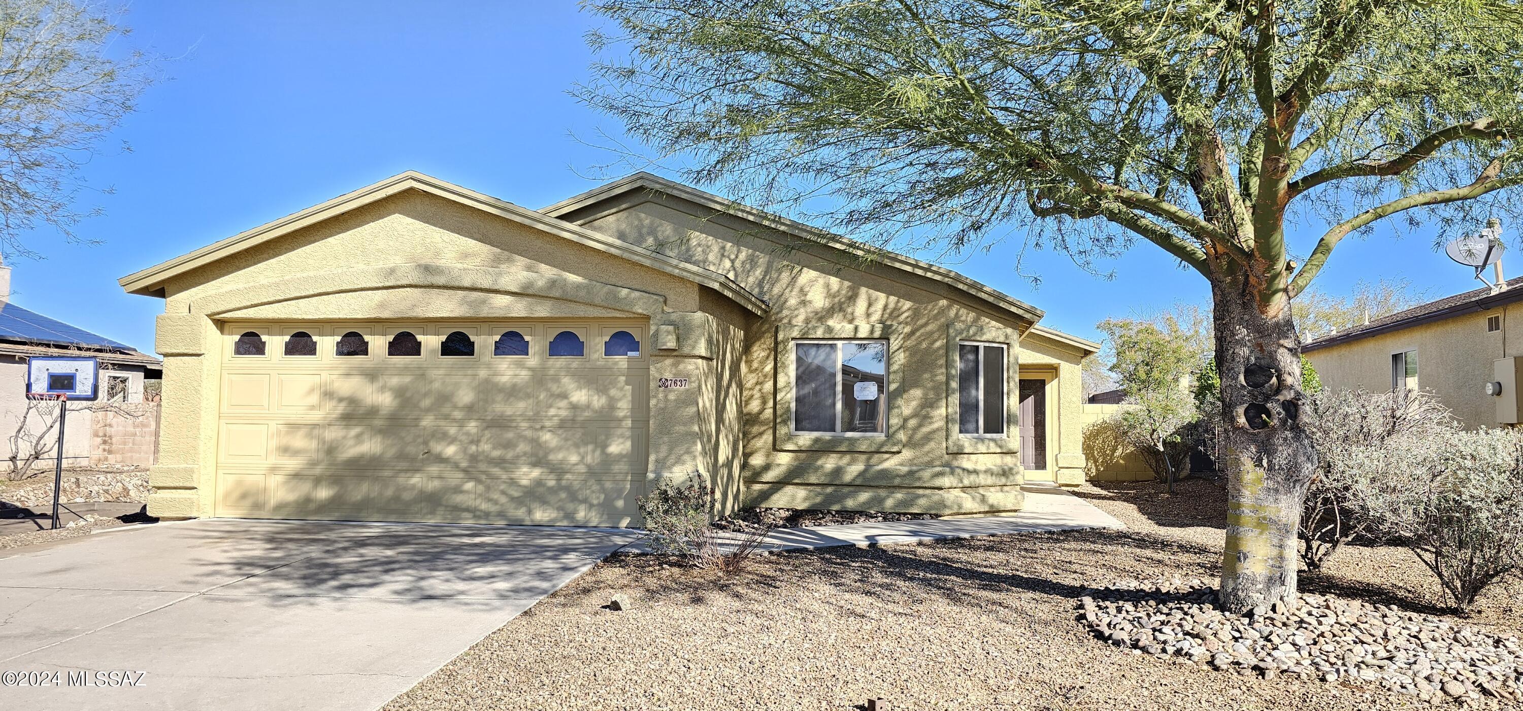 7637 S Athel Tree Drive