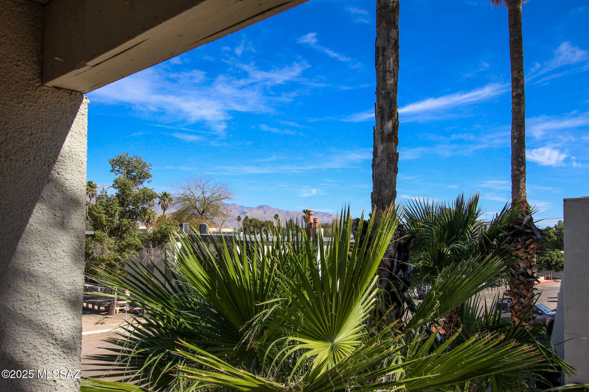 1620 N Wilmot Road Unit: UNIT P288