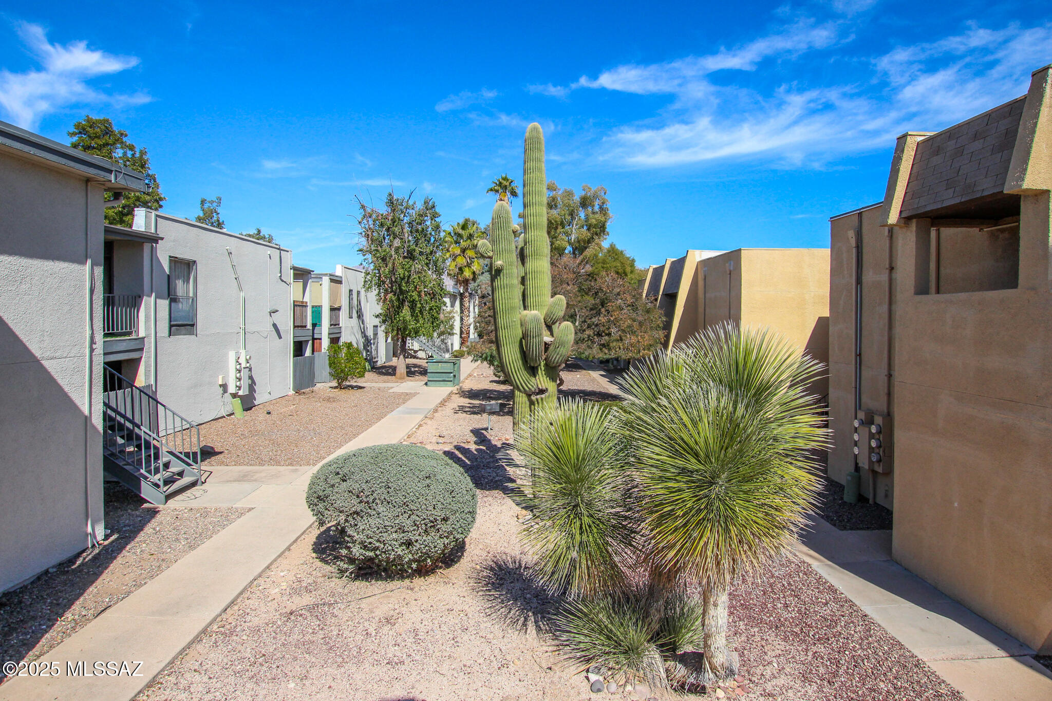 1620 N Wilmot Road Unit: UNIT P288