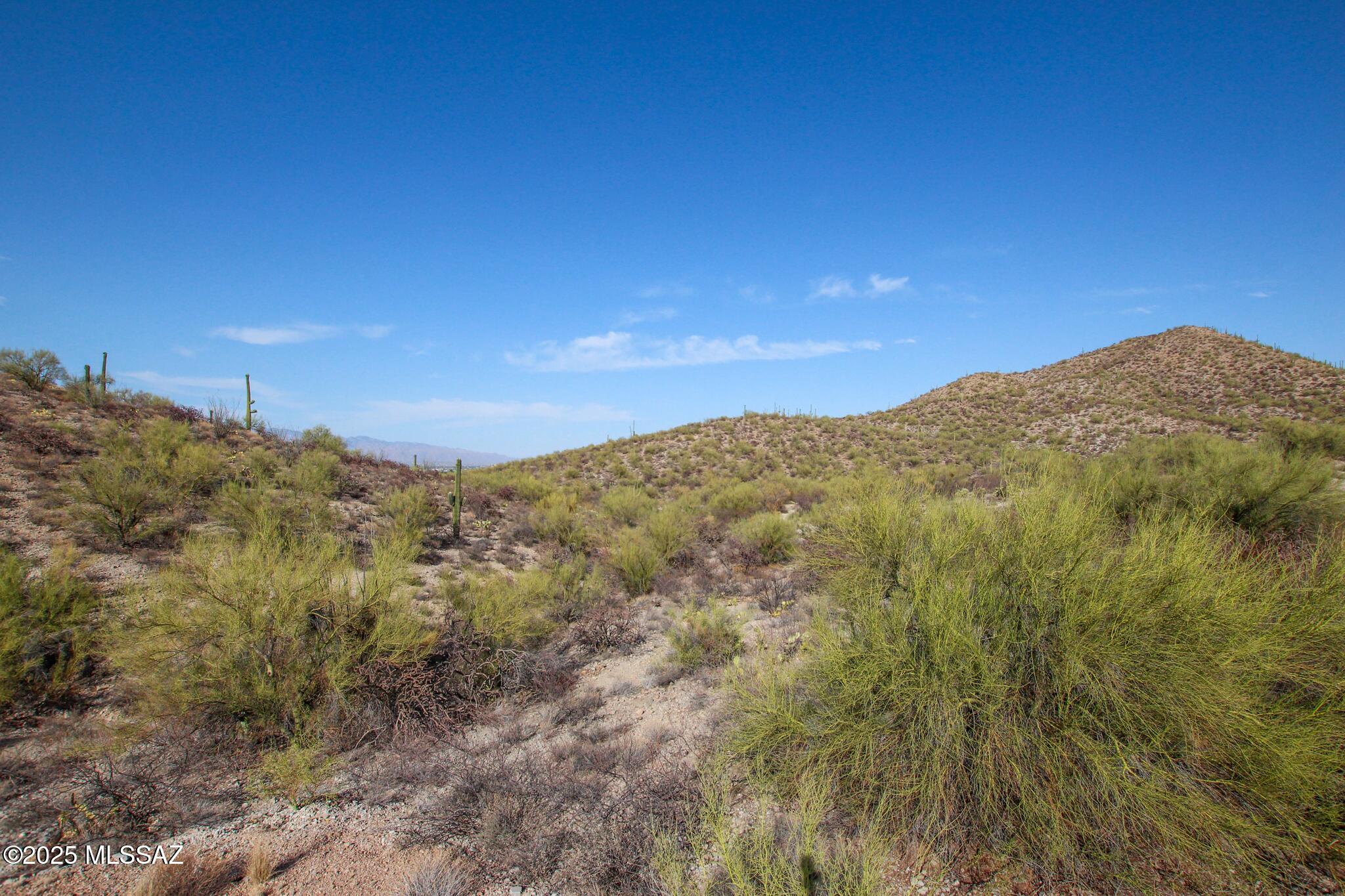 3152 W Tumamoc Drive Unit: 8