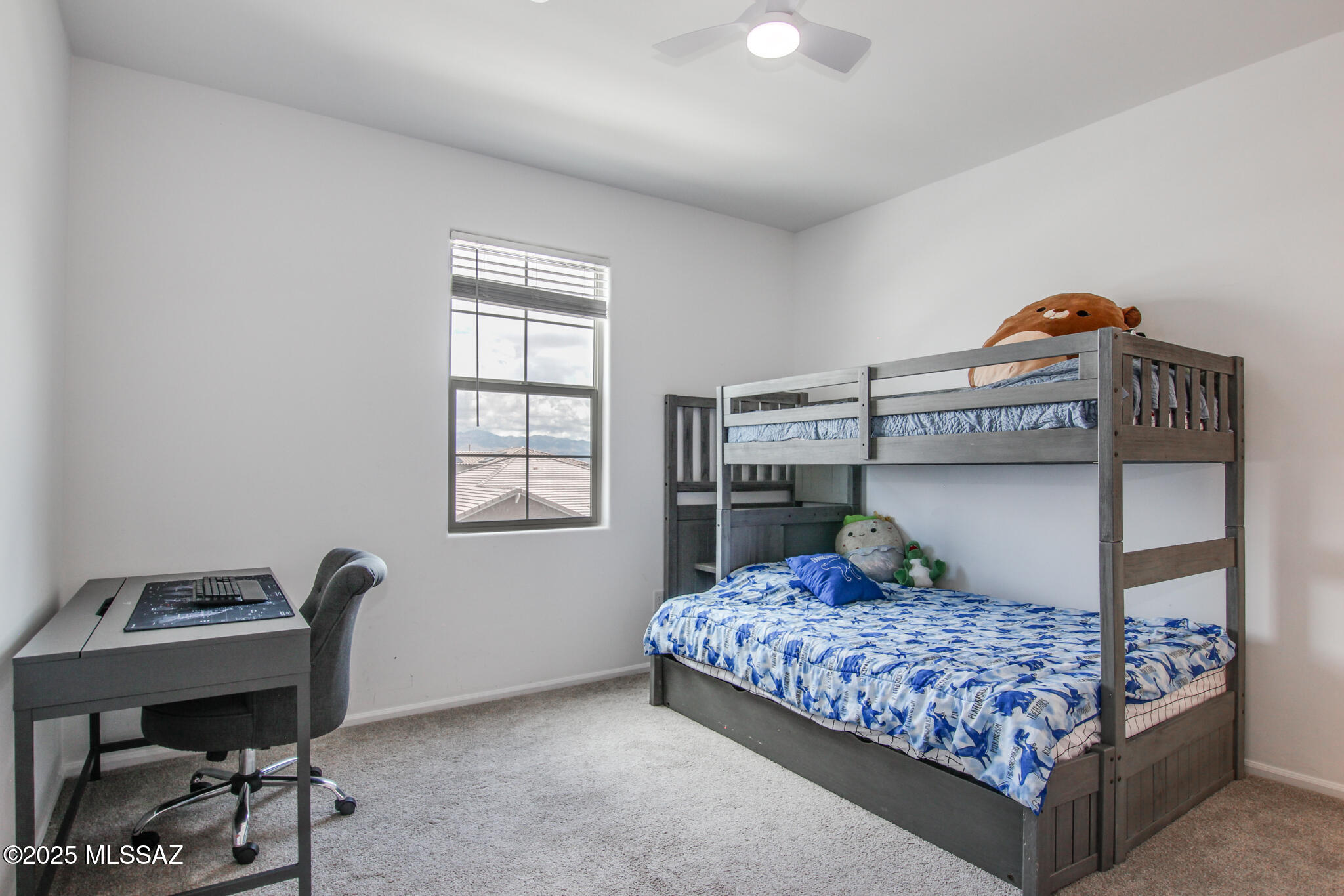 9752 E Carr Peak Trail