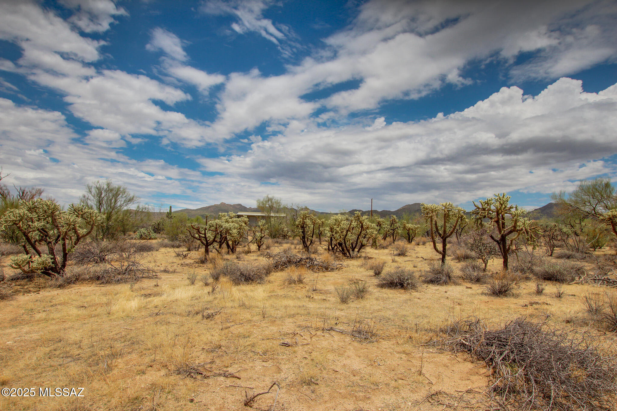 6043 W Quail Nest Place Unit: 10