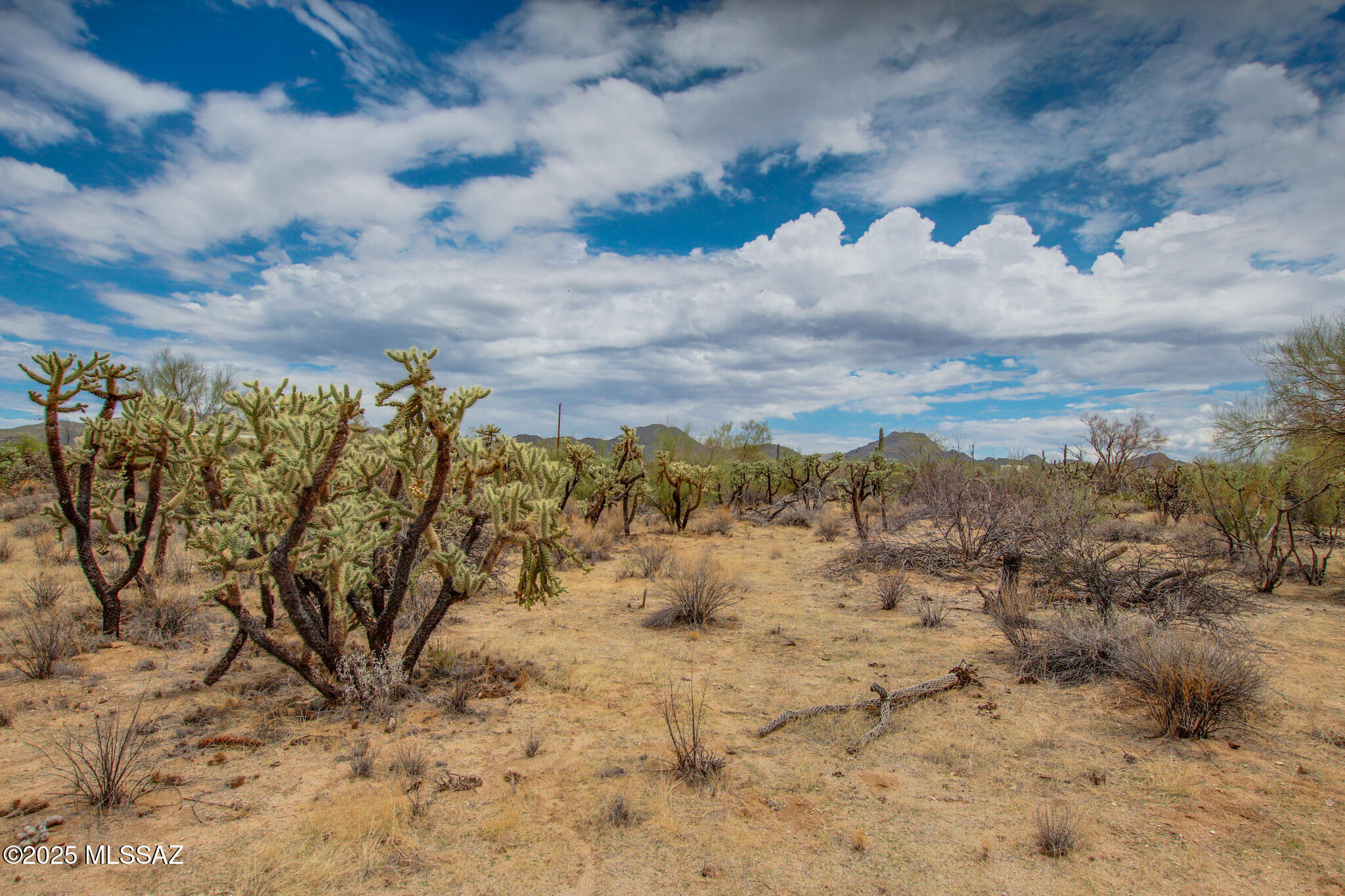 6043 W Quail Nest Place Unit: 10