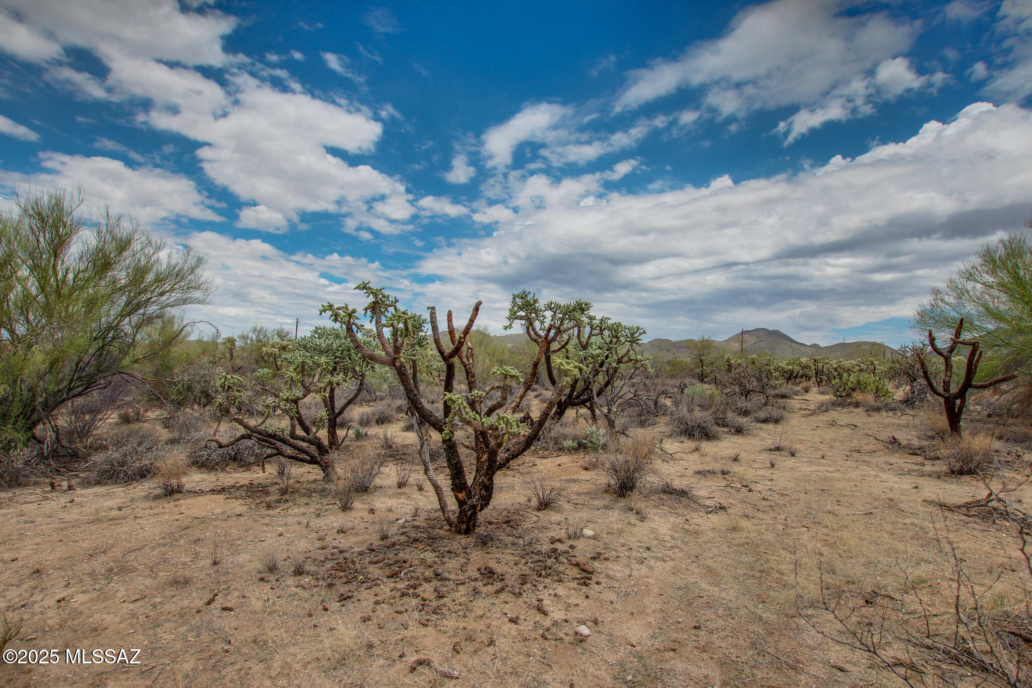 6043 W Quail Nest Place Unit: 10