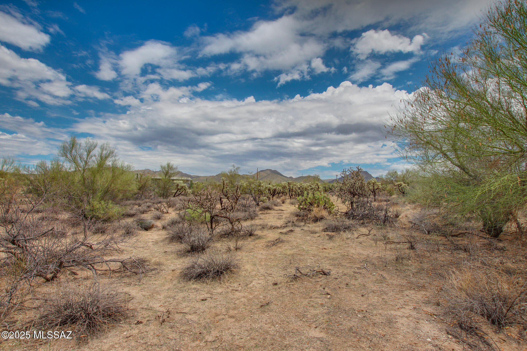 6043 W Quail Nest Place Unit: 10