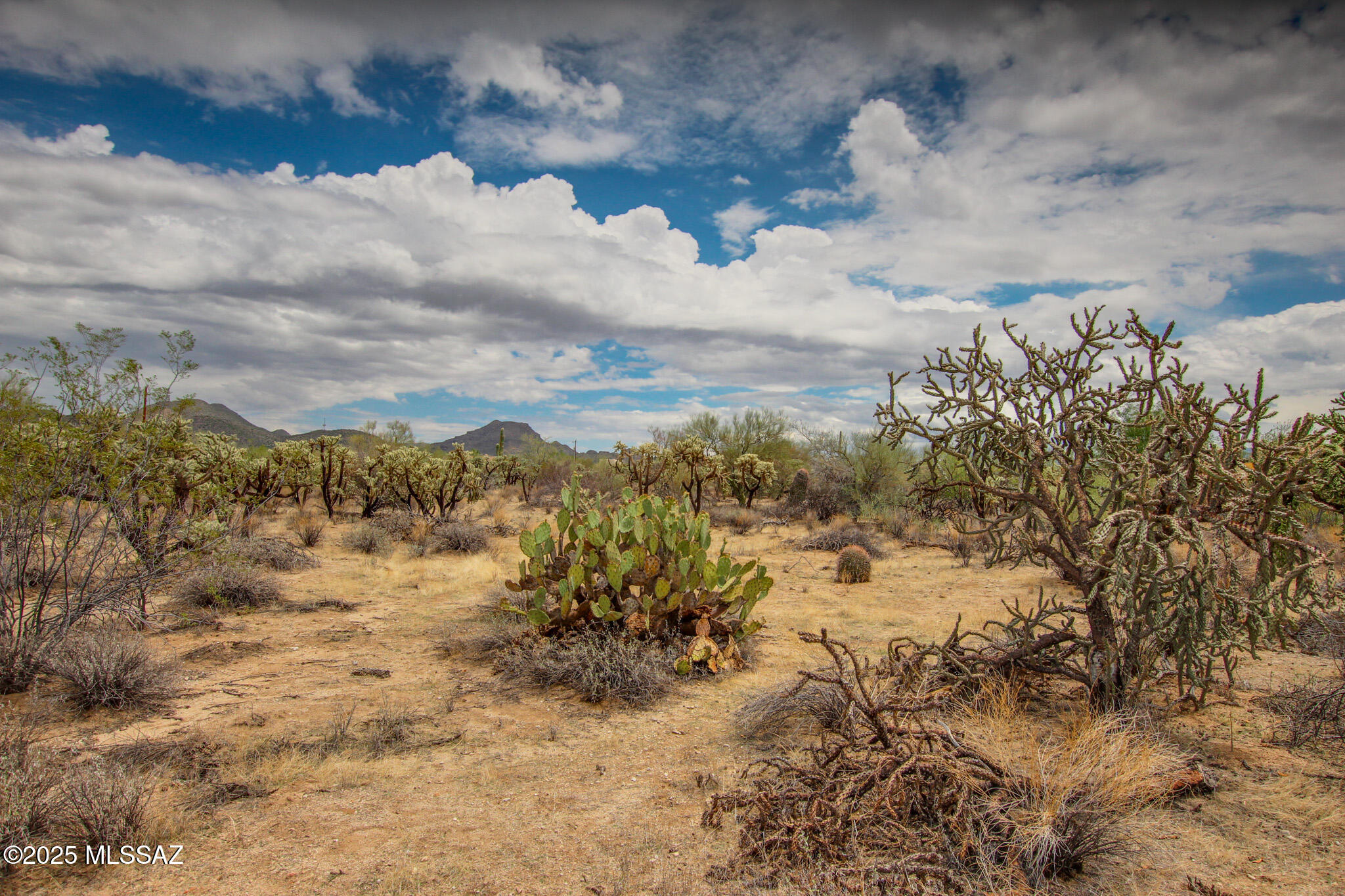 6043 W Quail Nest Place Unit: 10