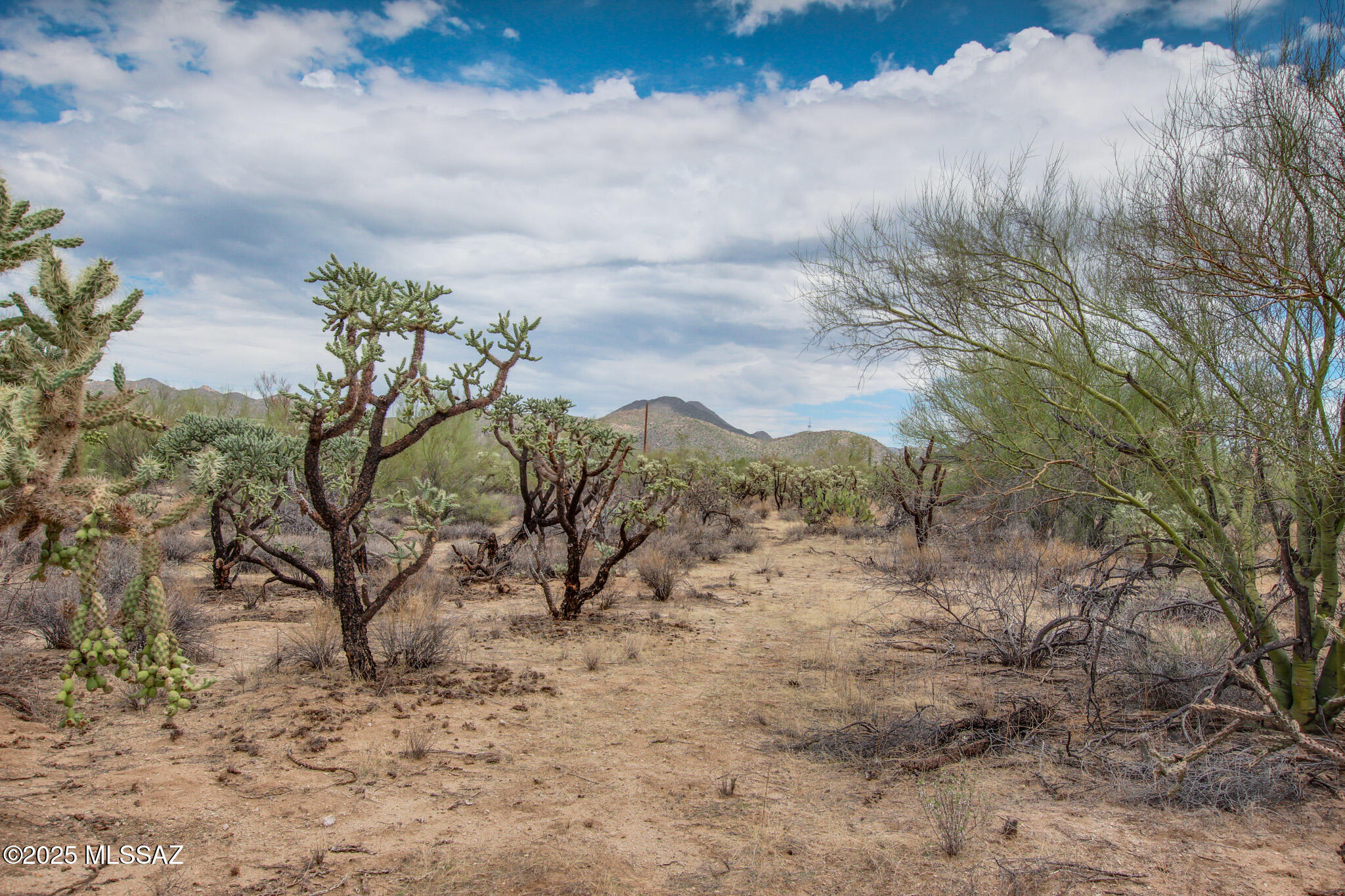 6043 W Quail Nest Place Unit: 10