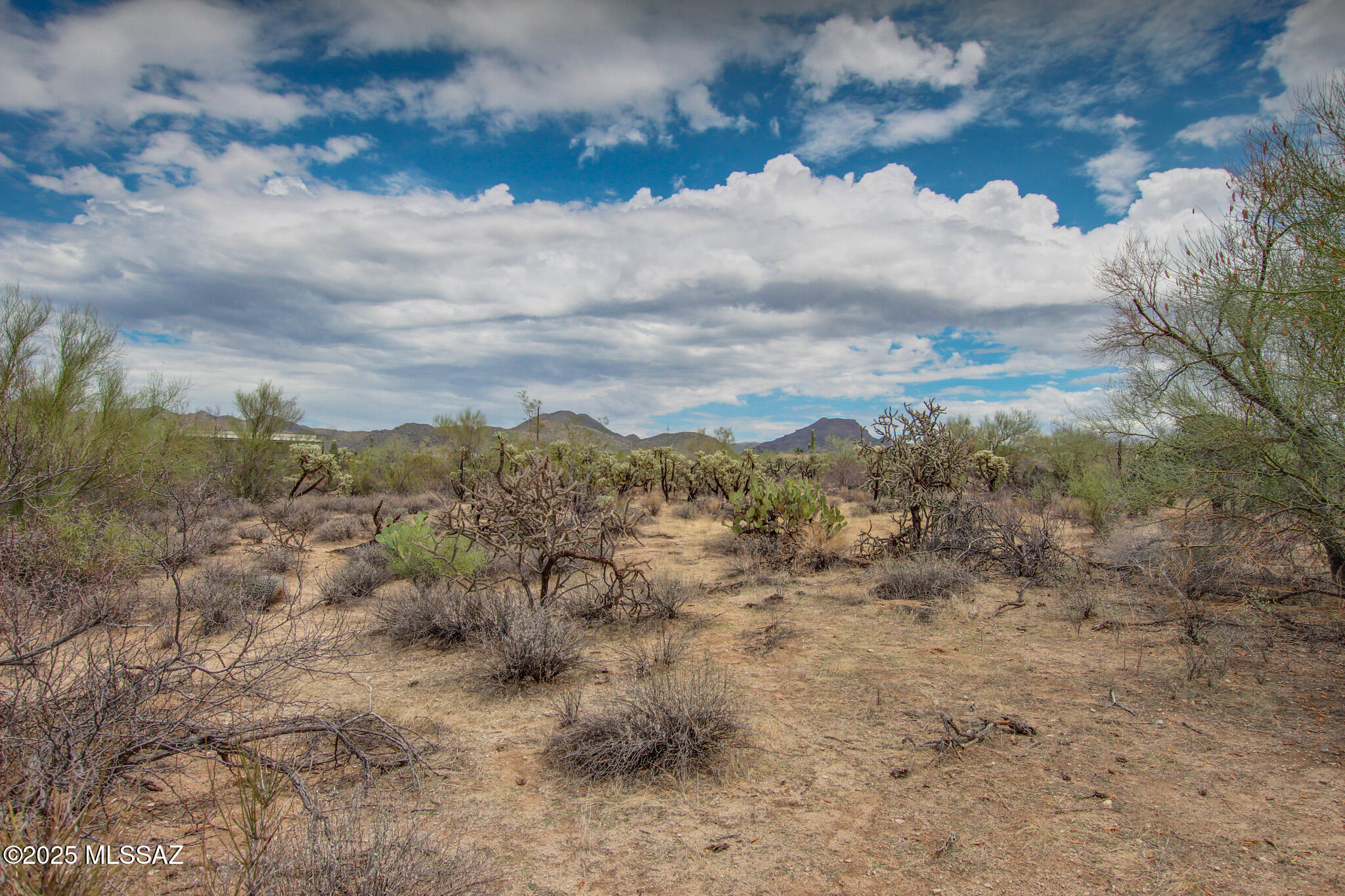 6043 W Quail Nest Place Unit: 10