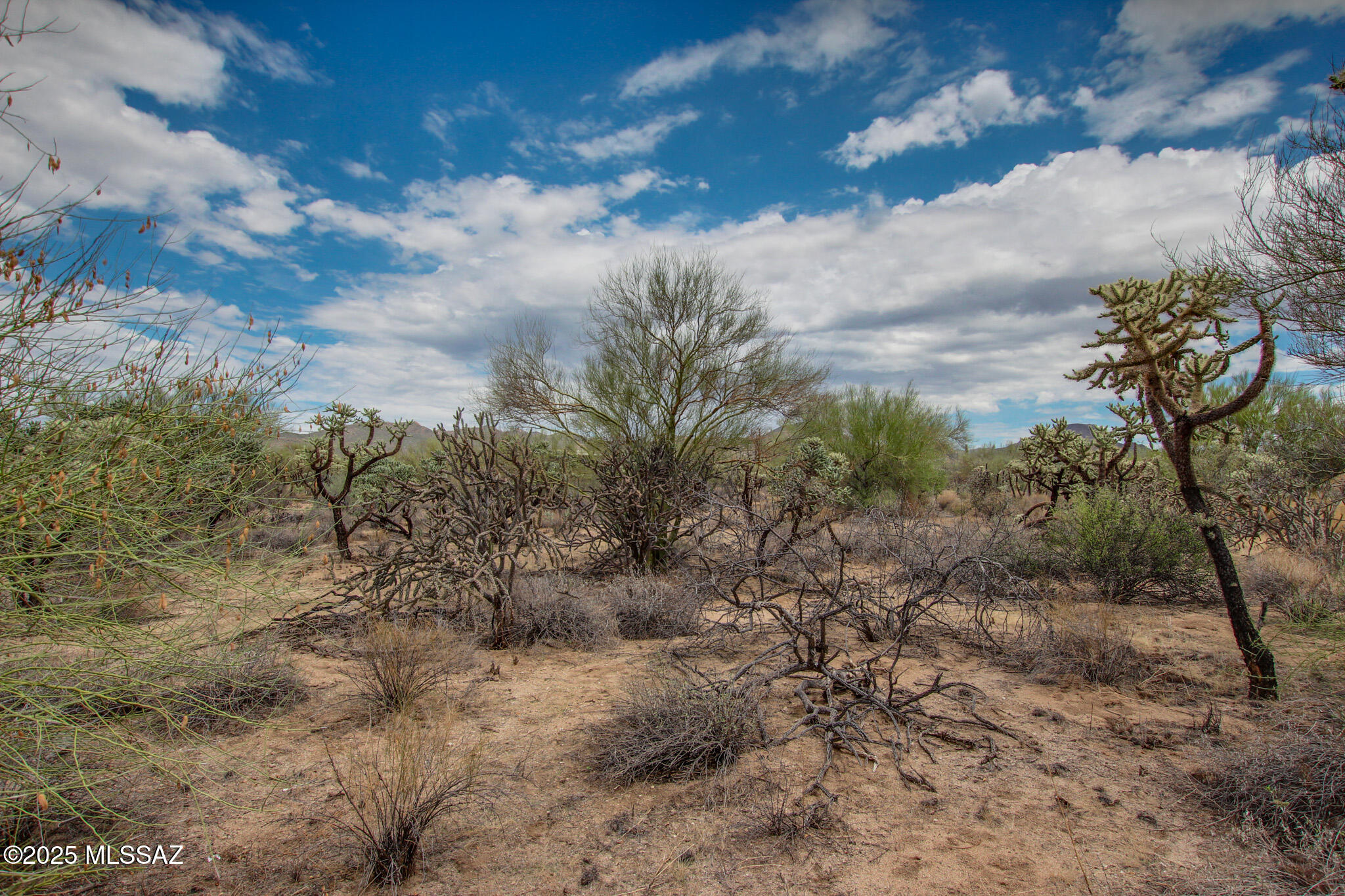 6043 W Quail Nest Place Unit: 10