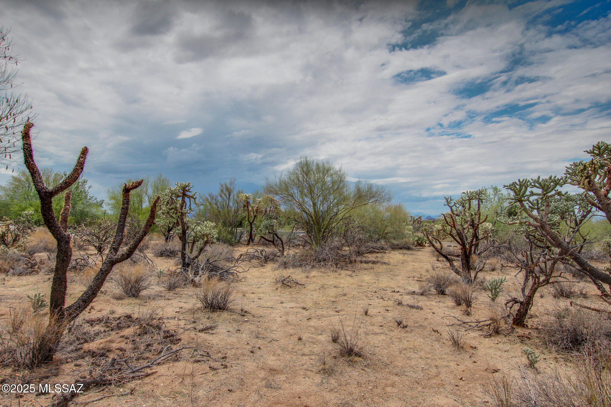 6043 W Quail Nest Place Unit: 10