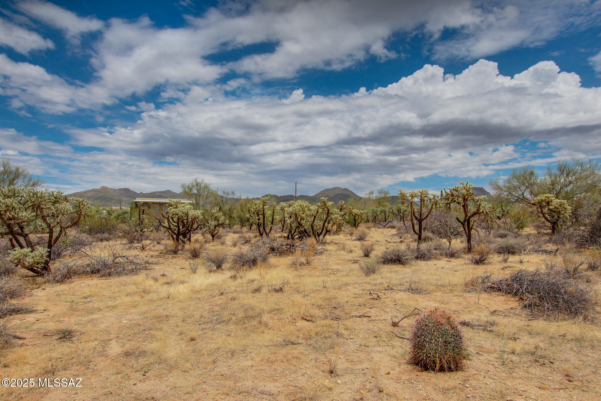 6043 W Quail Nest Place Unit: 10