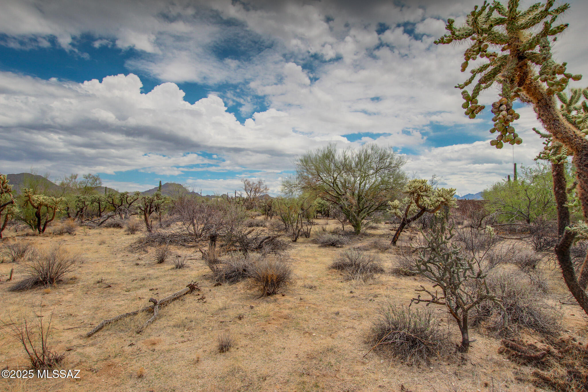 6043 W Quail Nest Place Unit: 10