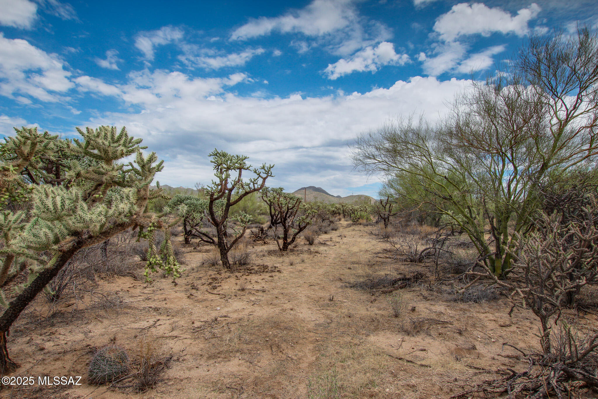 6043 W Quail Nest Place Unit: 10