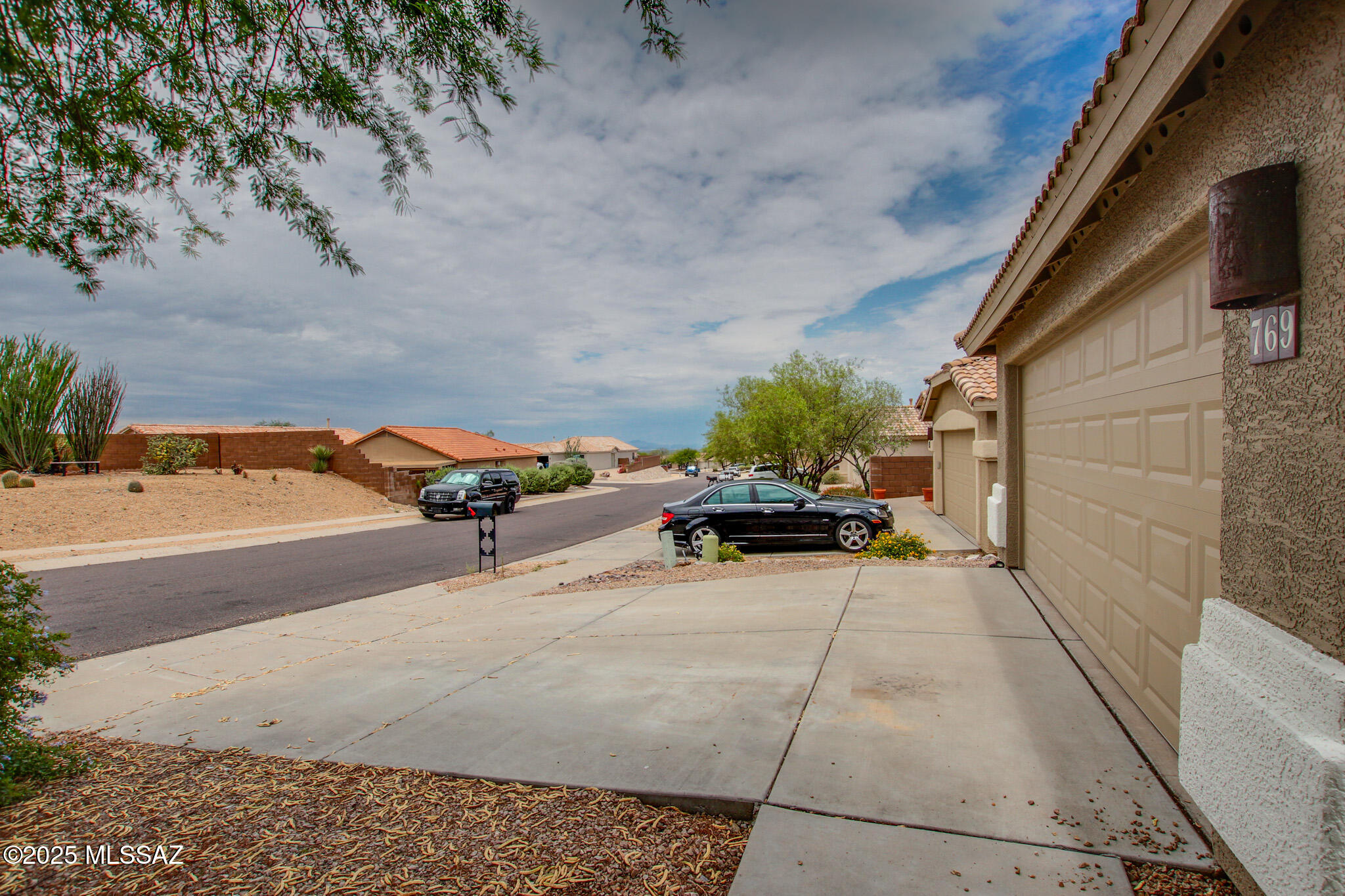 769 S Painted River Way