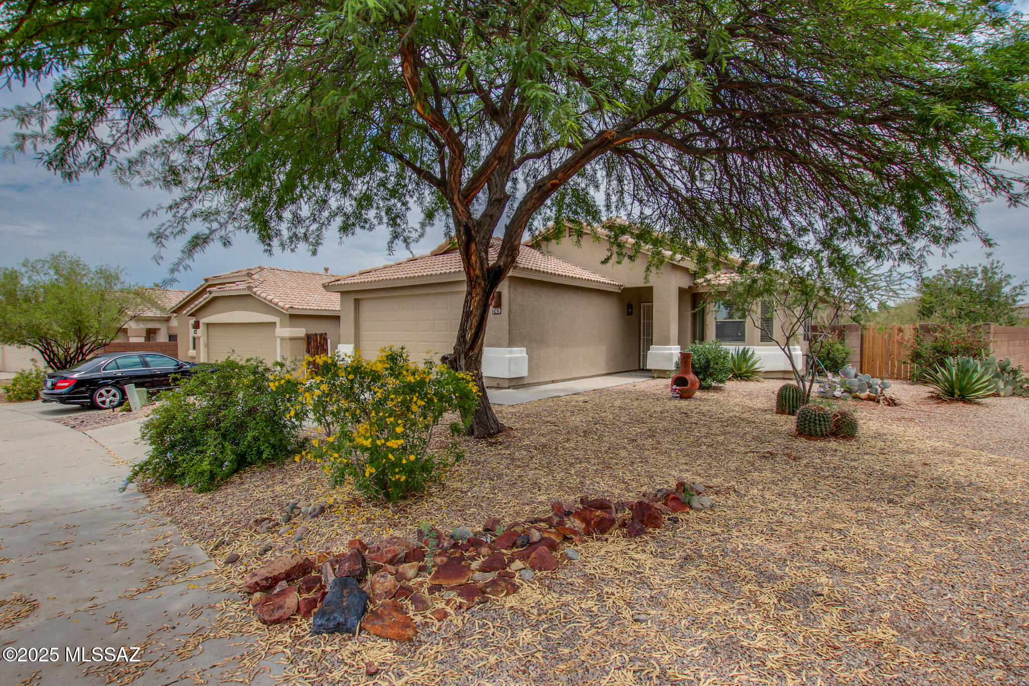 769 S Painted River Way