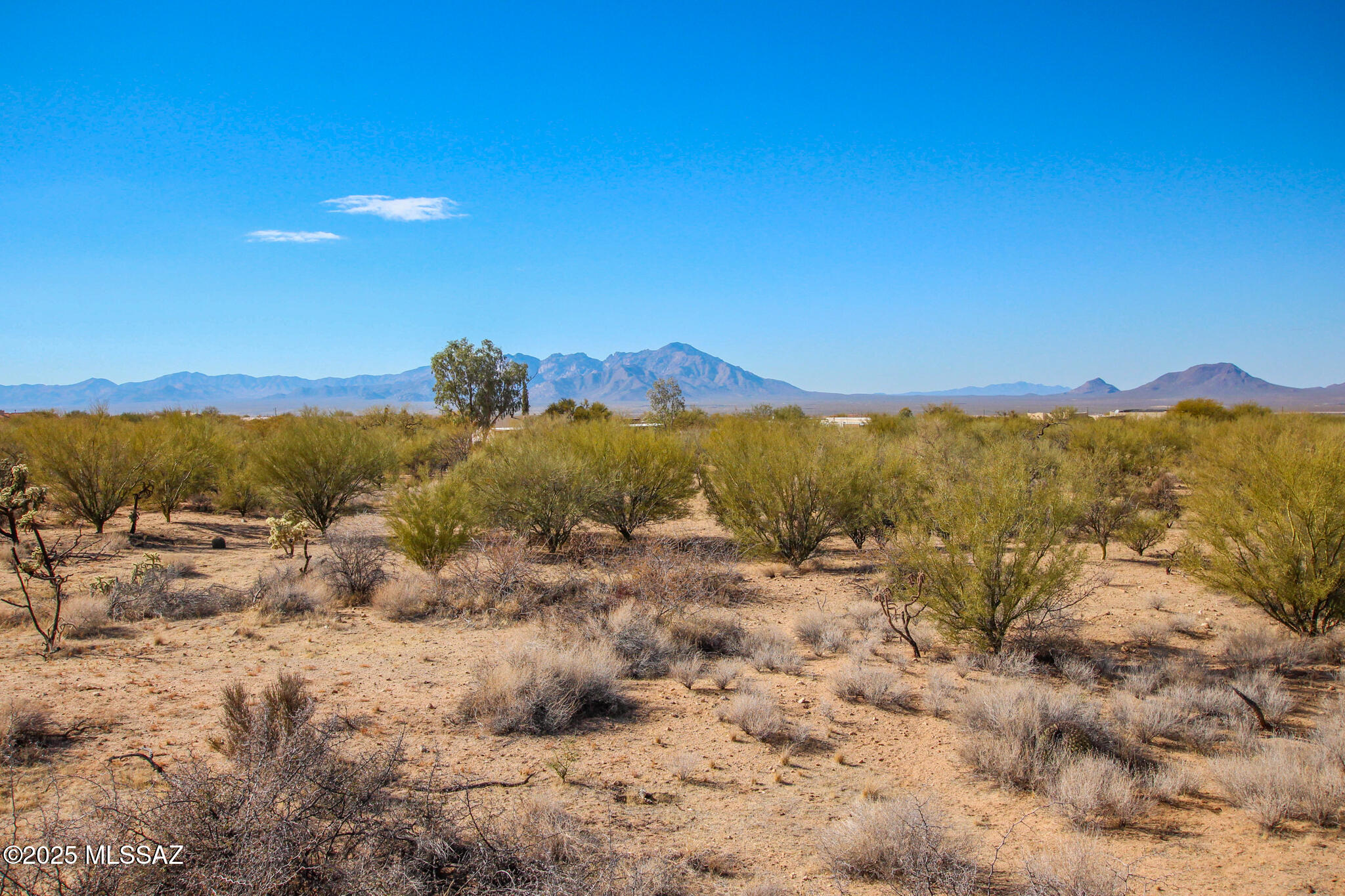 15949 W Diamond Bell Ranch Road Unit: 8