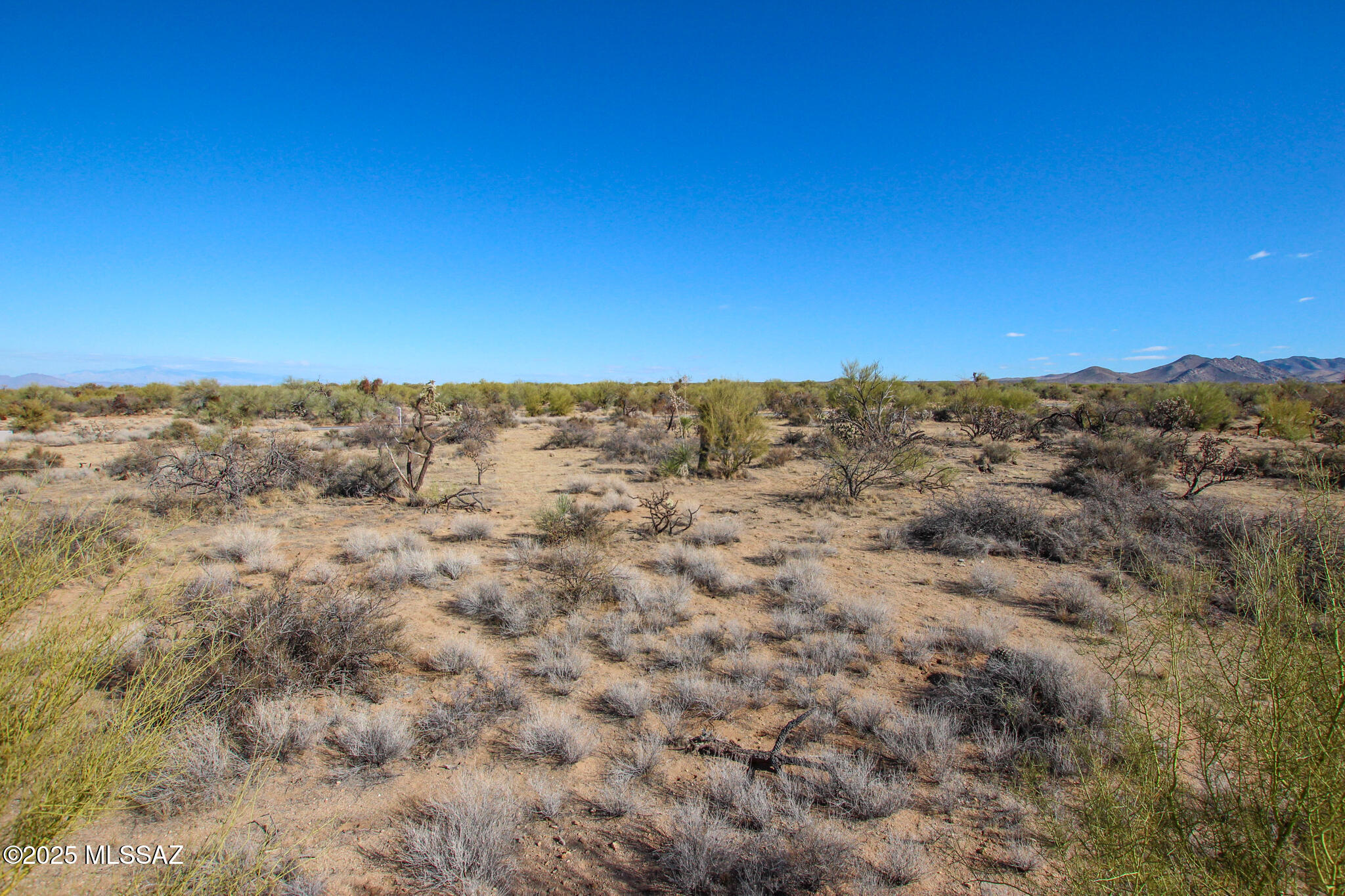 15949 W Diamond Bell Ranch Road Unit: 8