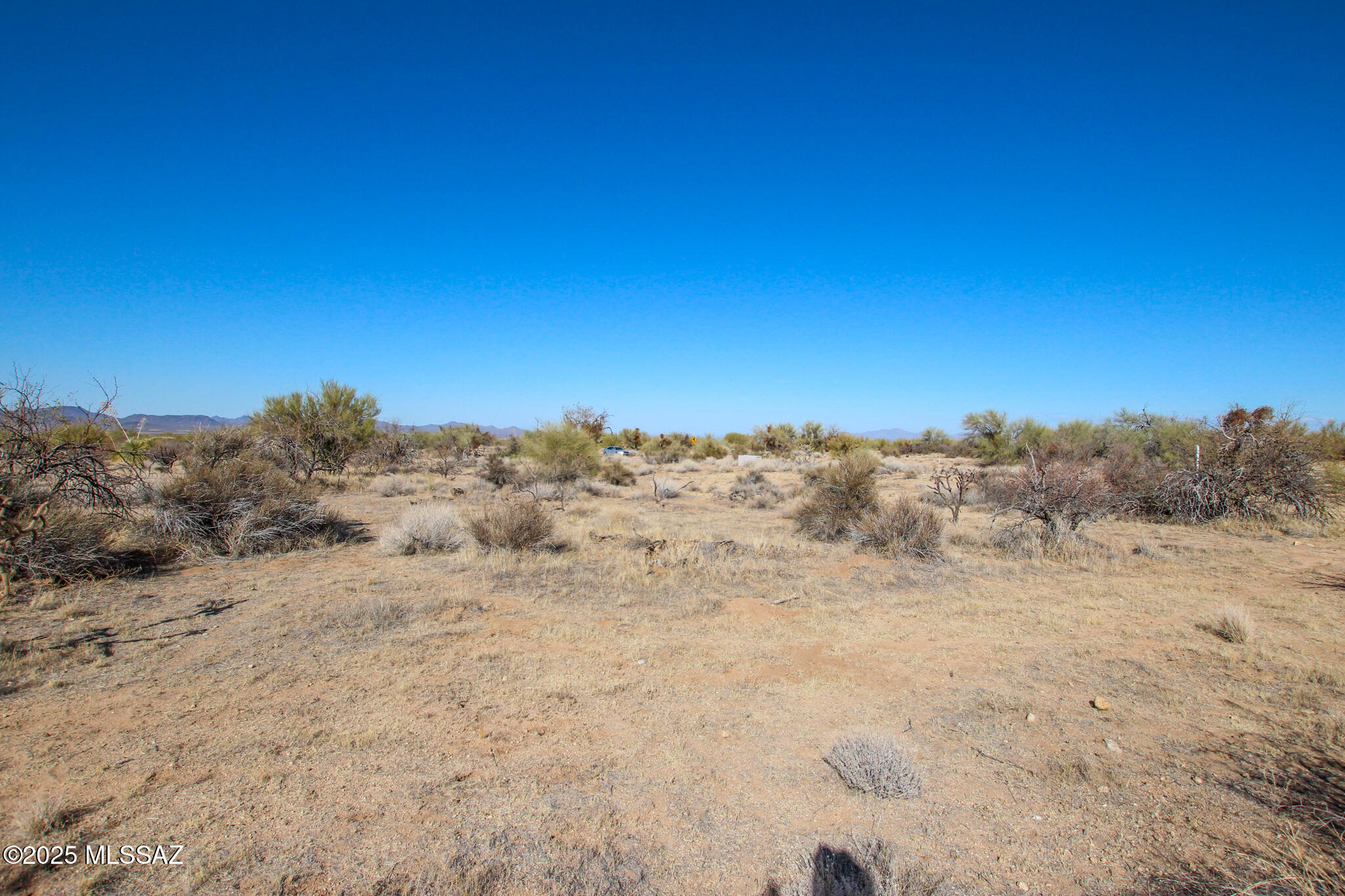 15949 W Diamond Bell Ranch Road Unit: 8