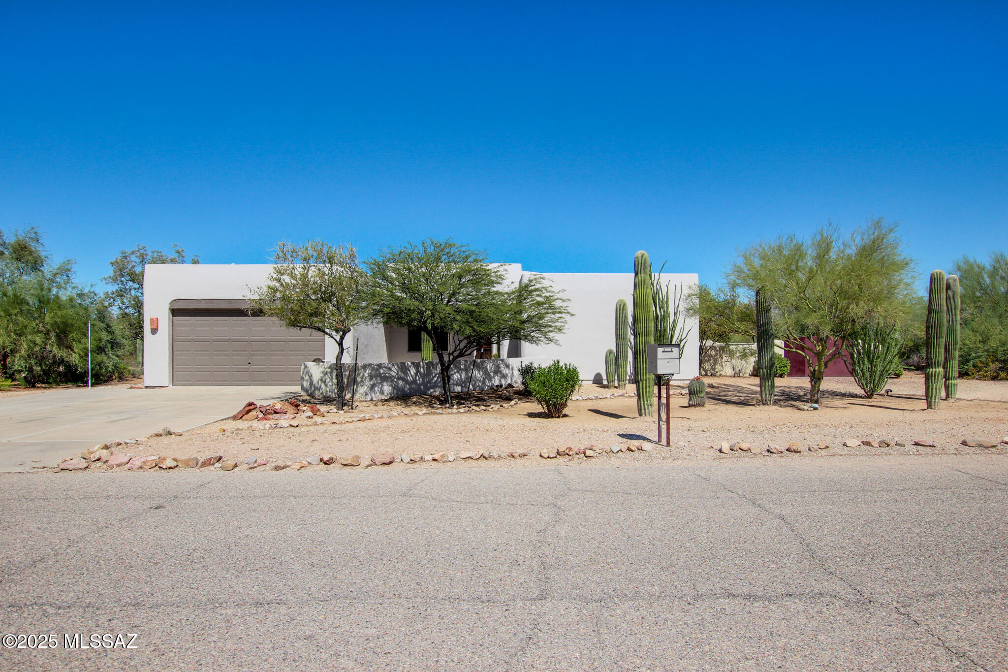 3938 S Wolf Spider Way