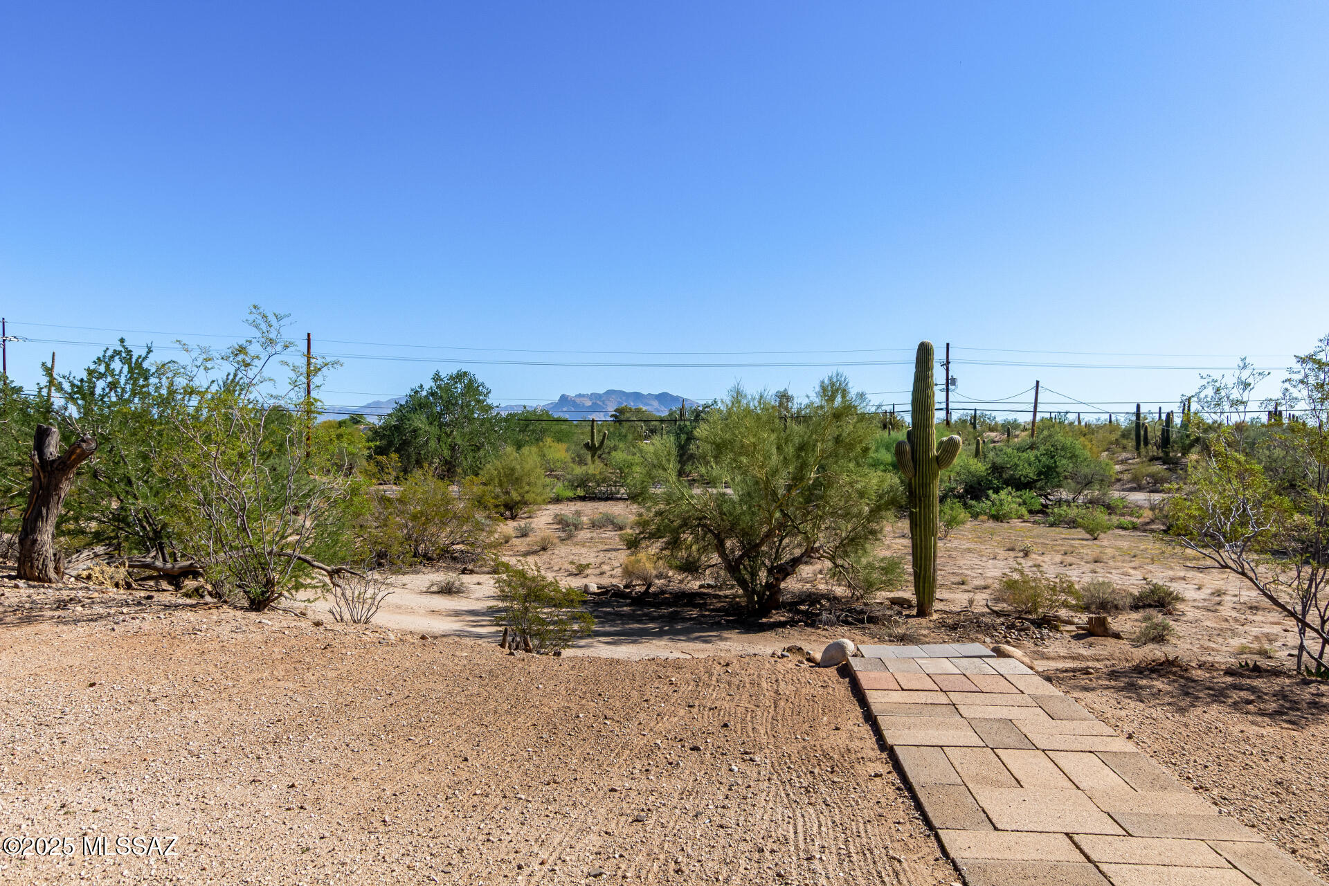 8501 N Camino De Oeste