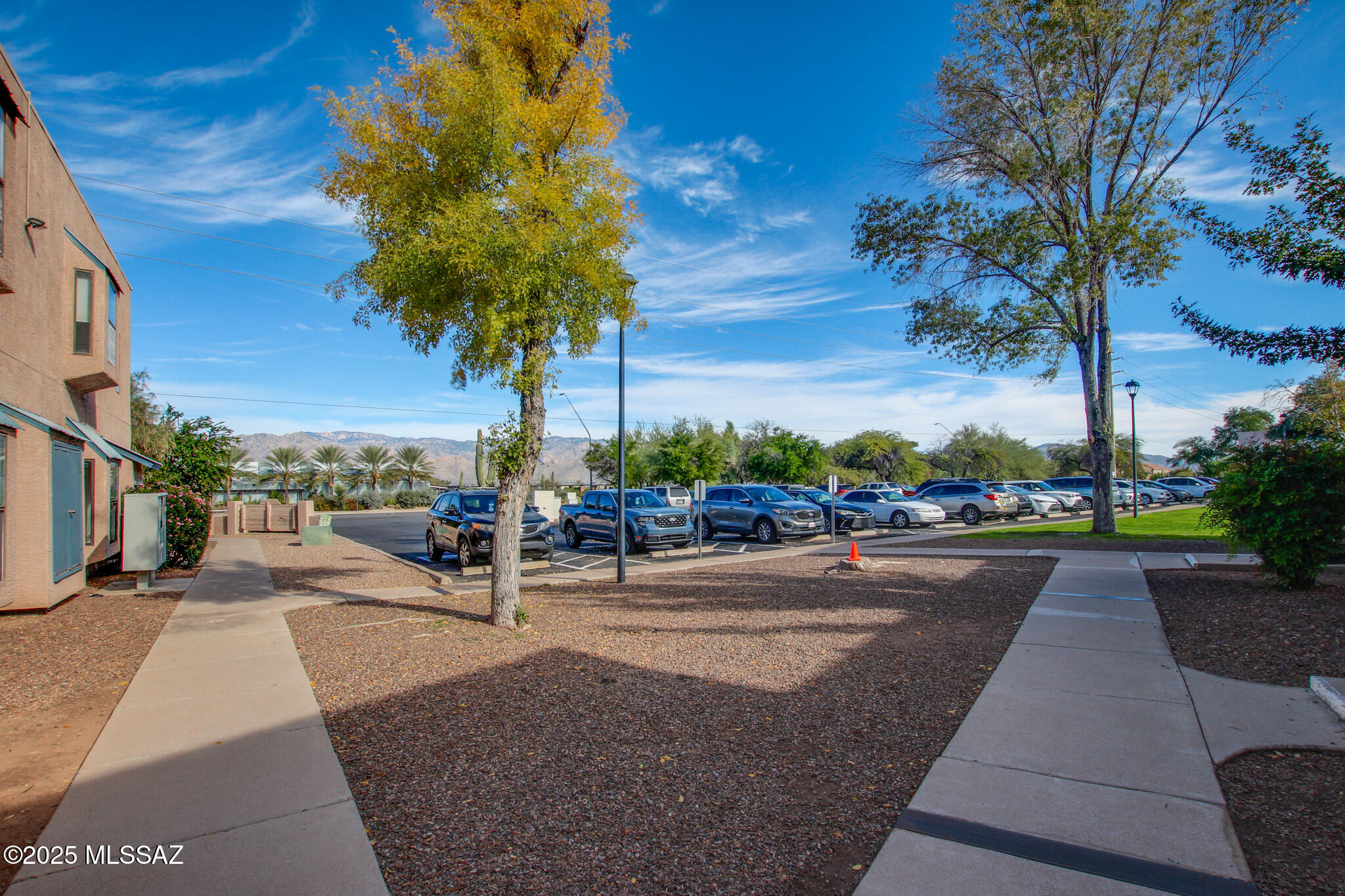 8080 E Speedway Boulevard 607