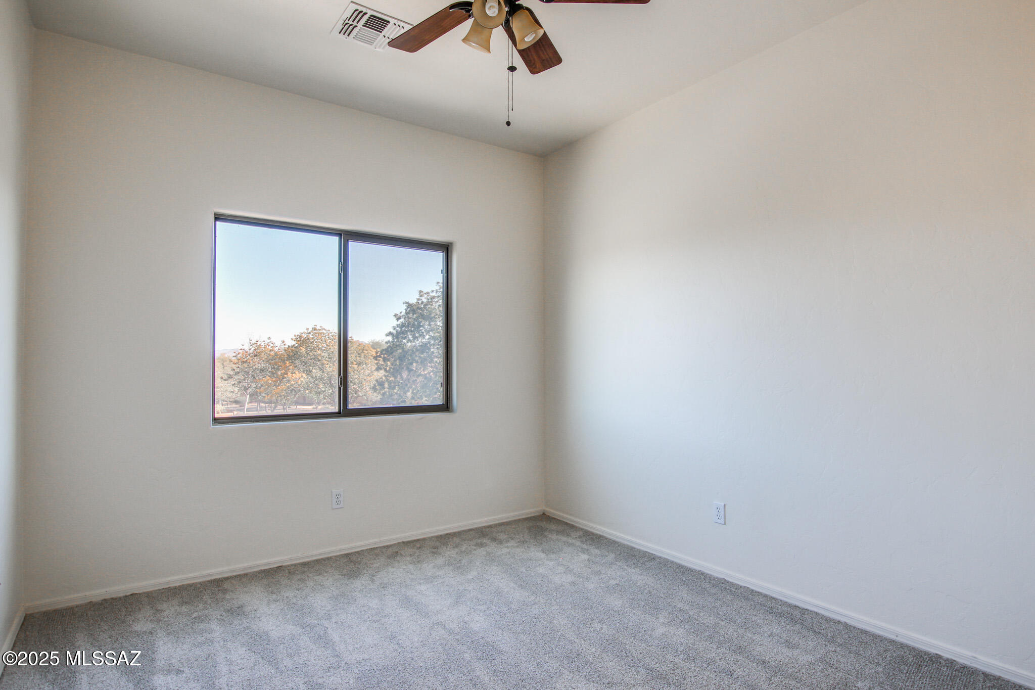 262 E Calle Puente Lindo