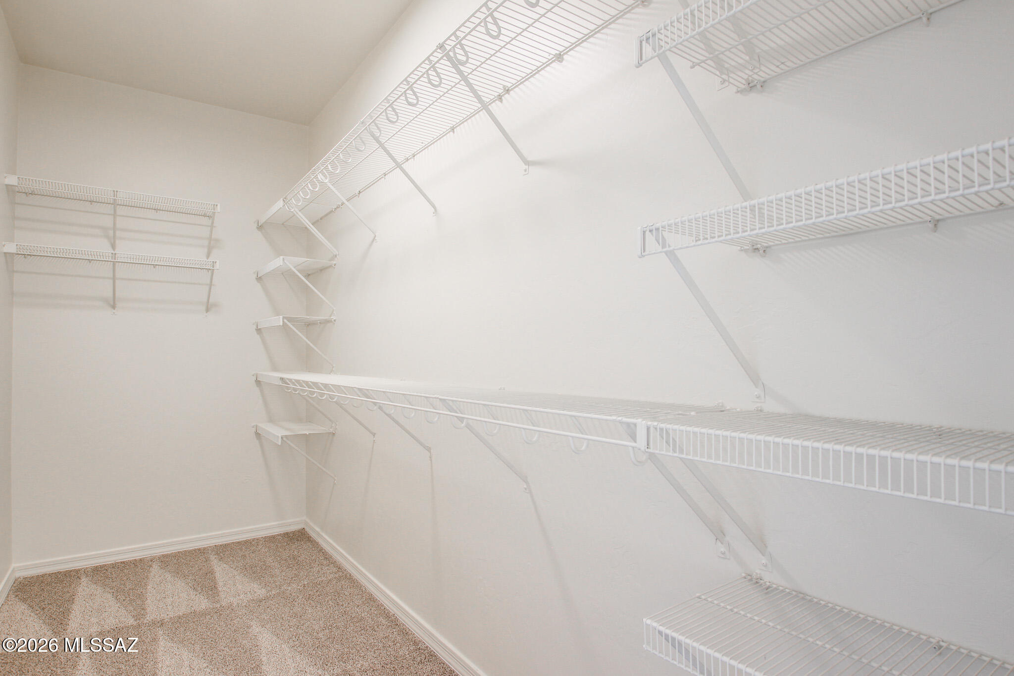 8296 W Razorbill Drive