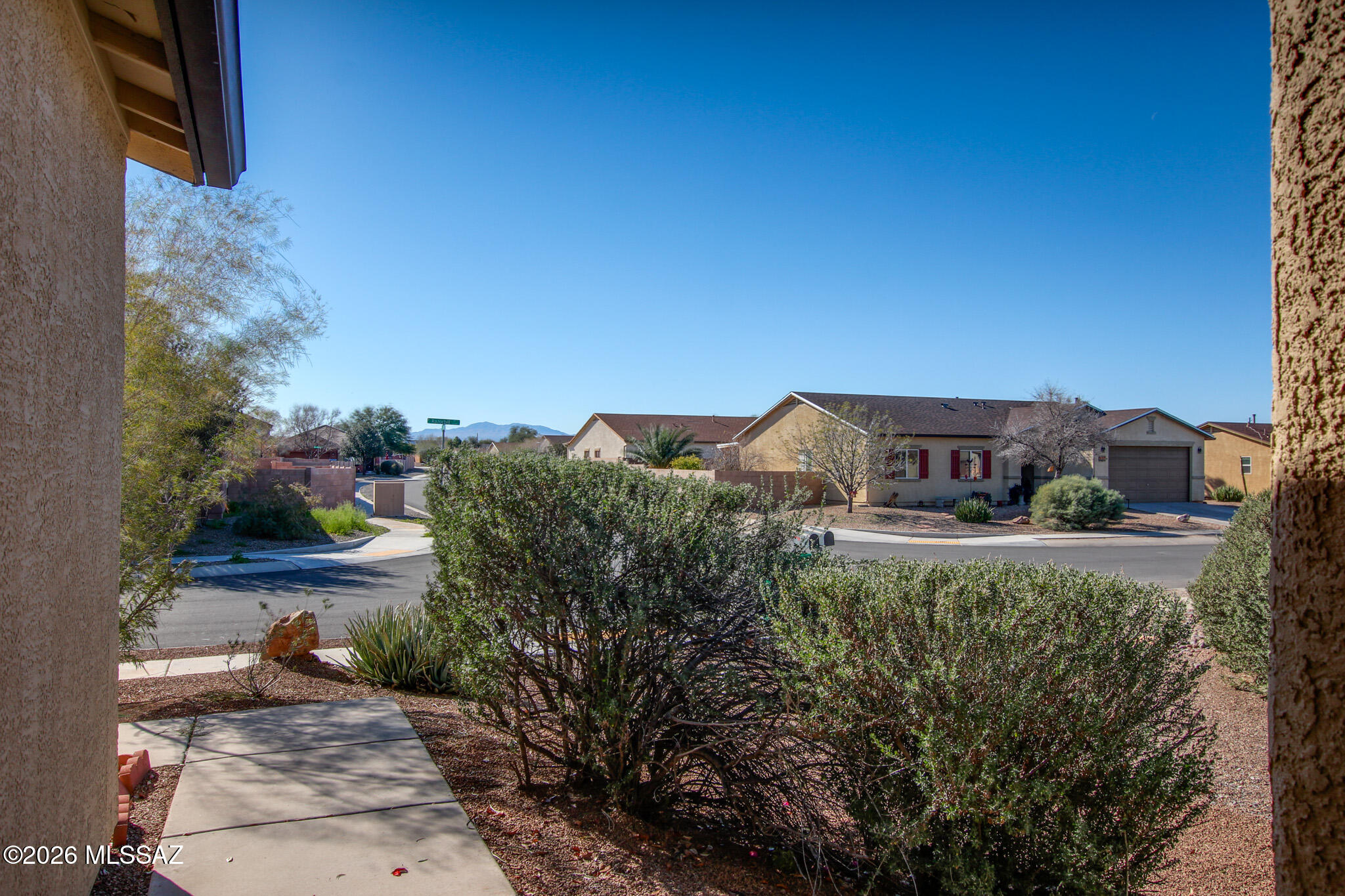 8296 W Razorbill Drive