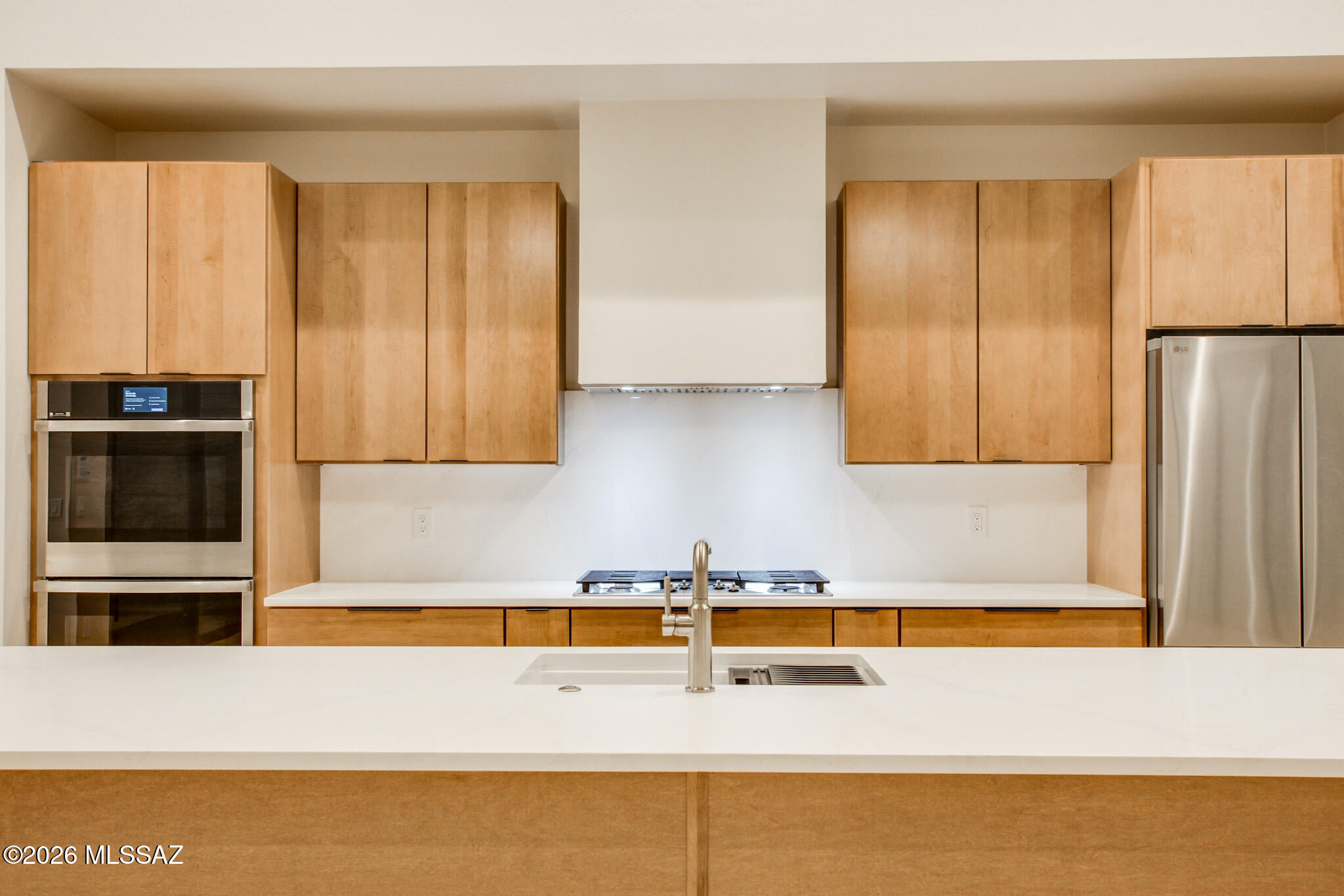 2769 W Black Cloud Court