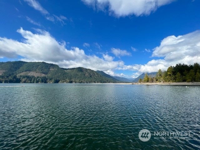 170 N Duckabush Loop W