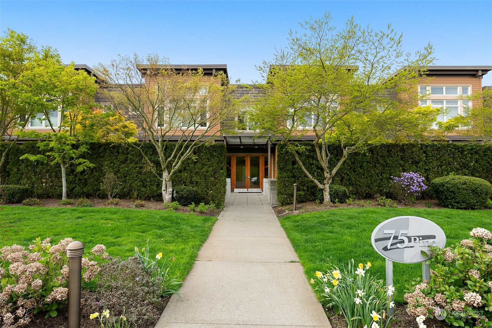 75 Pine Street #204