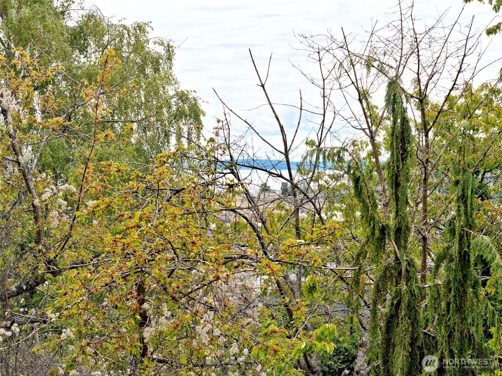 2219 13th Avenue W Unit: 1